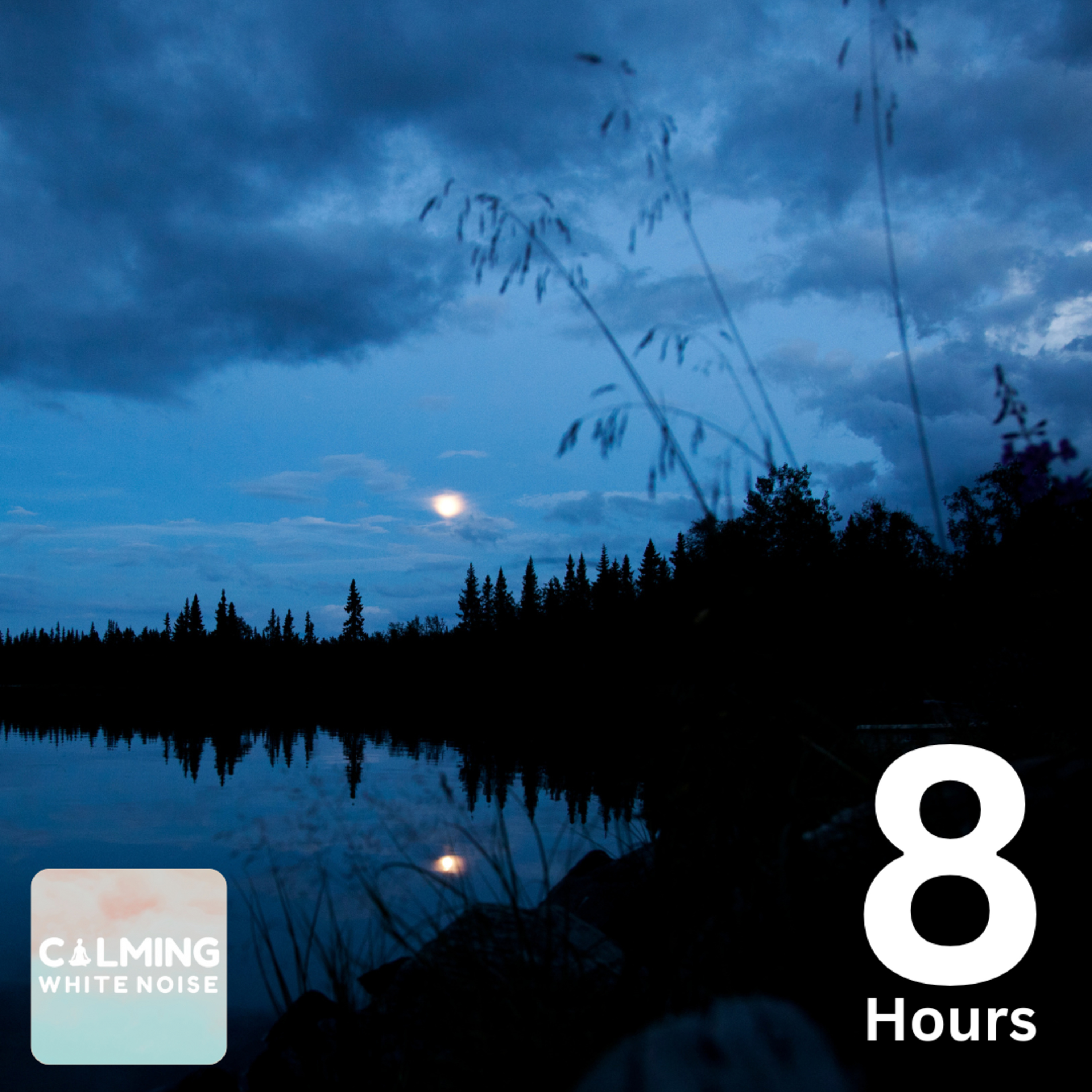 Small Creek with Crickets Chirping (8 Hours) | Relaxing Water Sounds for Focus episode artwork