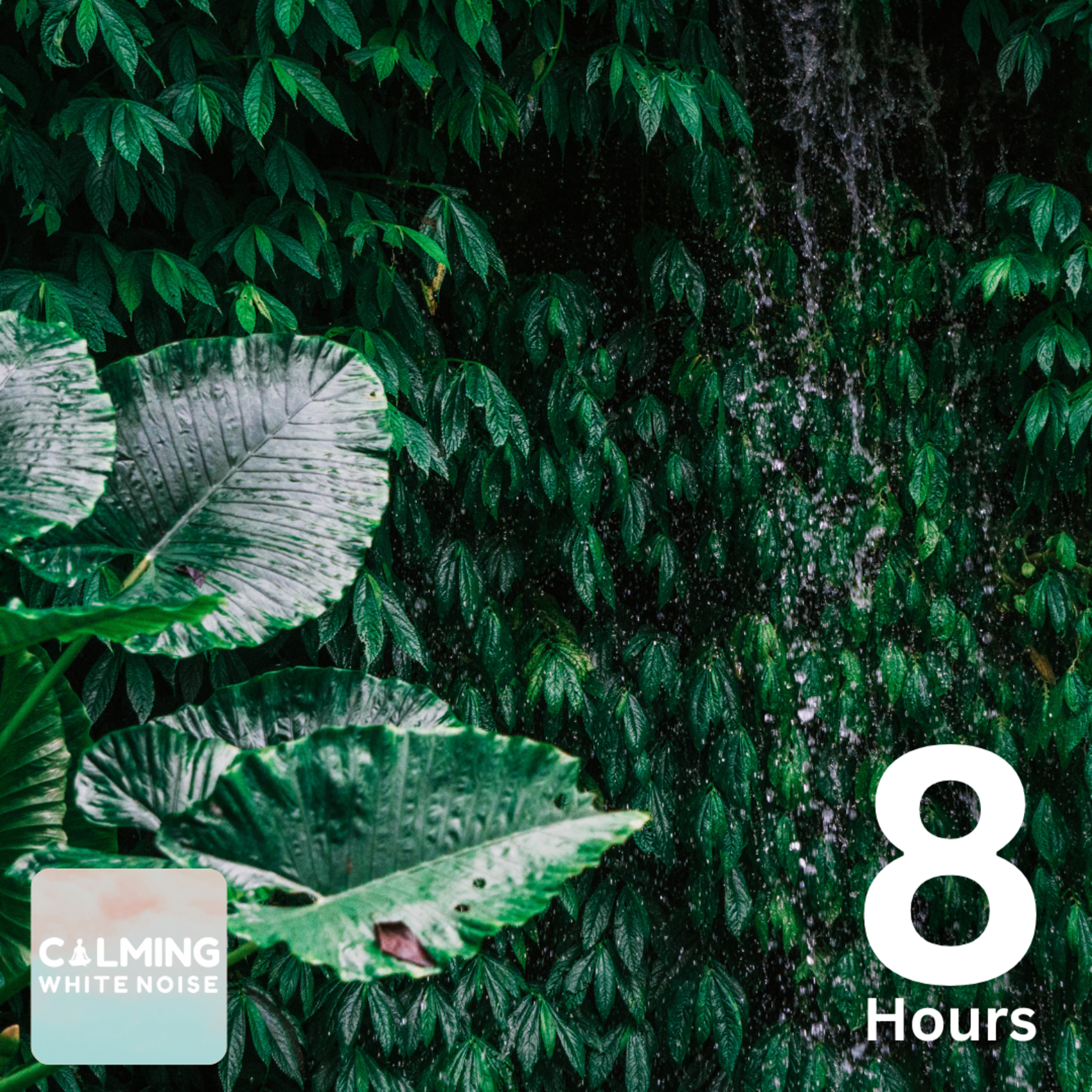 Sleepy Rainforest Sounds (8 Hours) | Rain and Crickets Chirping for Deep Sleep episode artwork