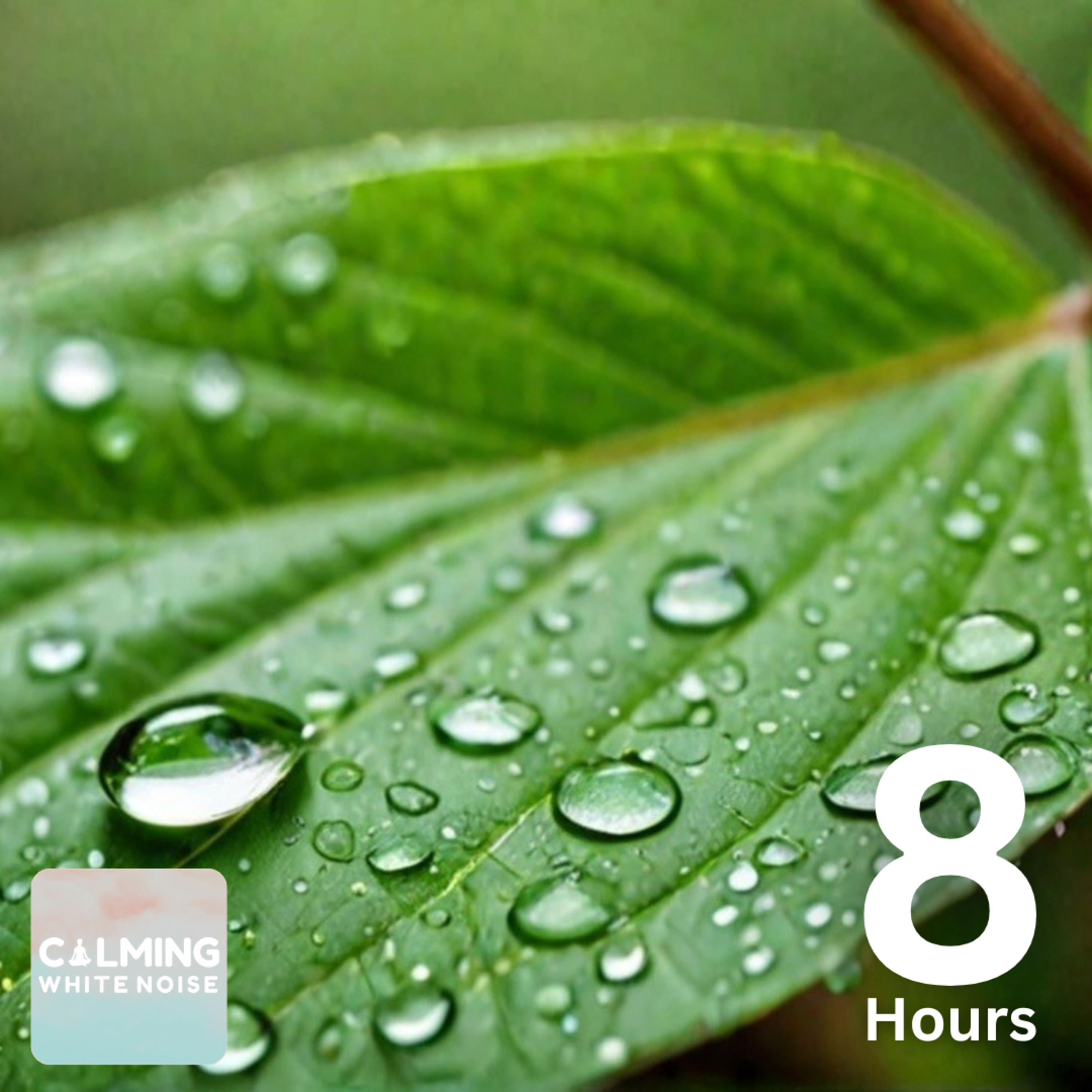 8 HOURS of Rain Sound for Relaxation | Ultimate Stress Relief, Deep Sleep, or Meditation episode artwork