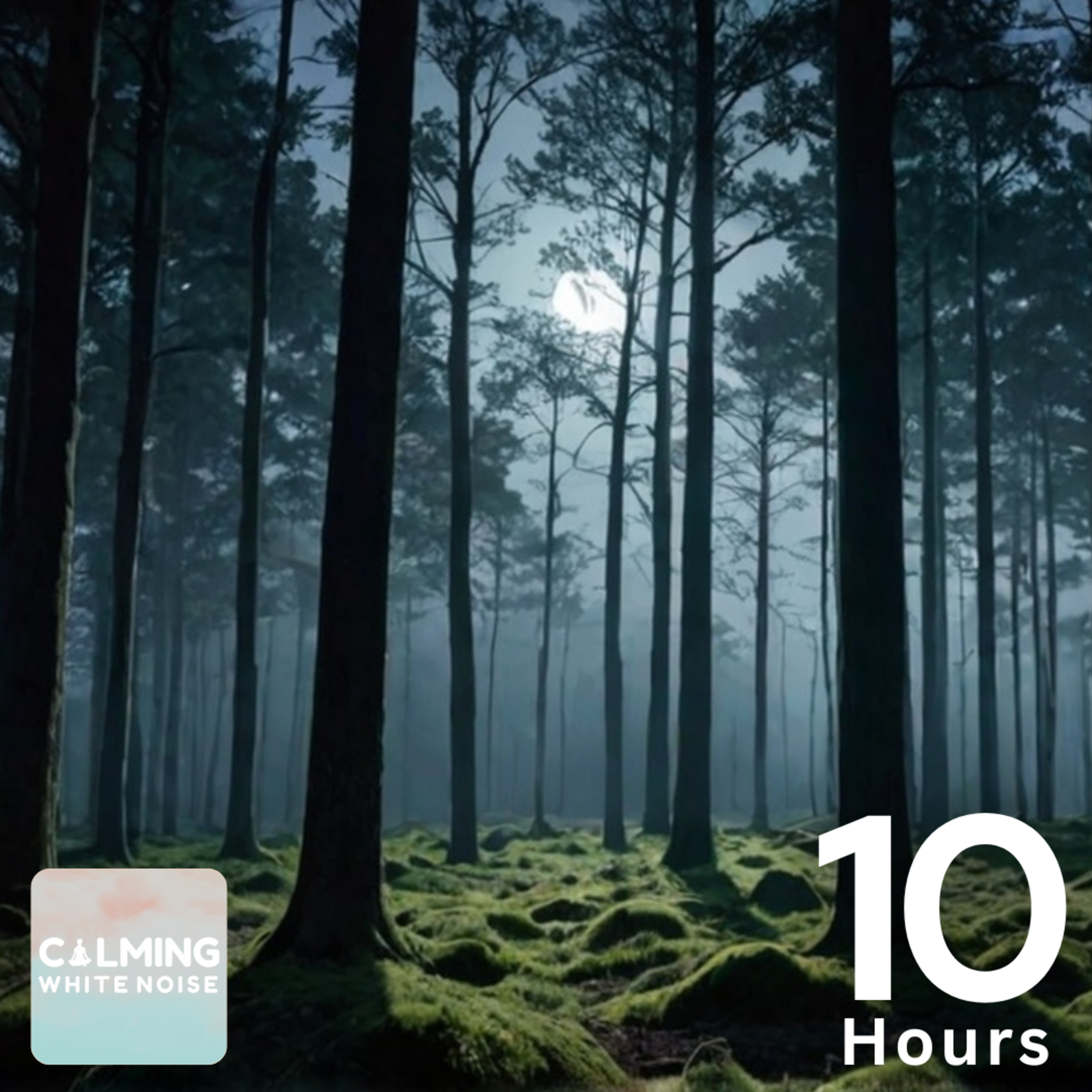 Relaxing Crickets Chirping at Night for Sleep and Meditation (10 Hours) episode artwork