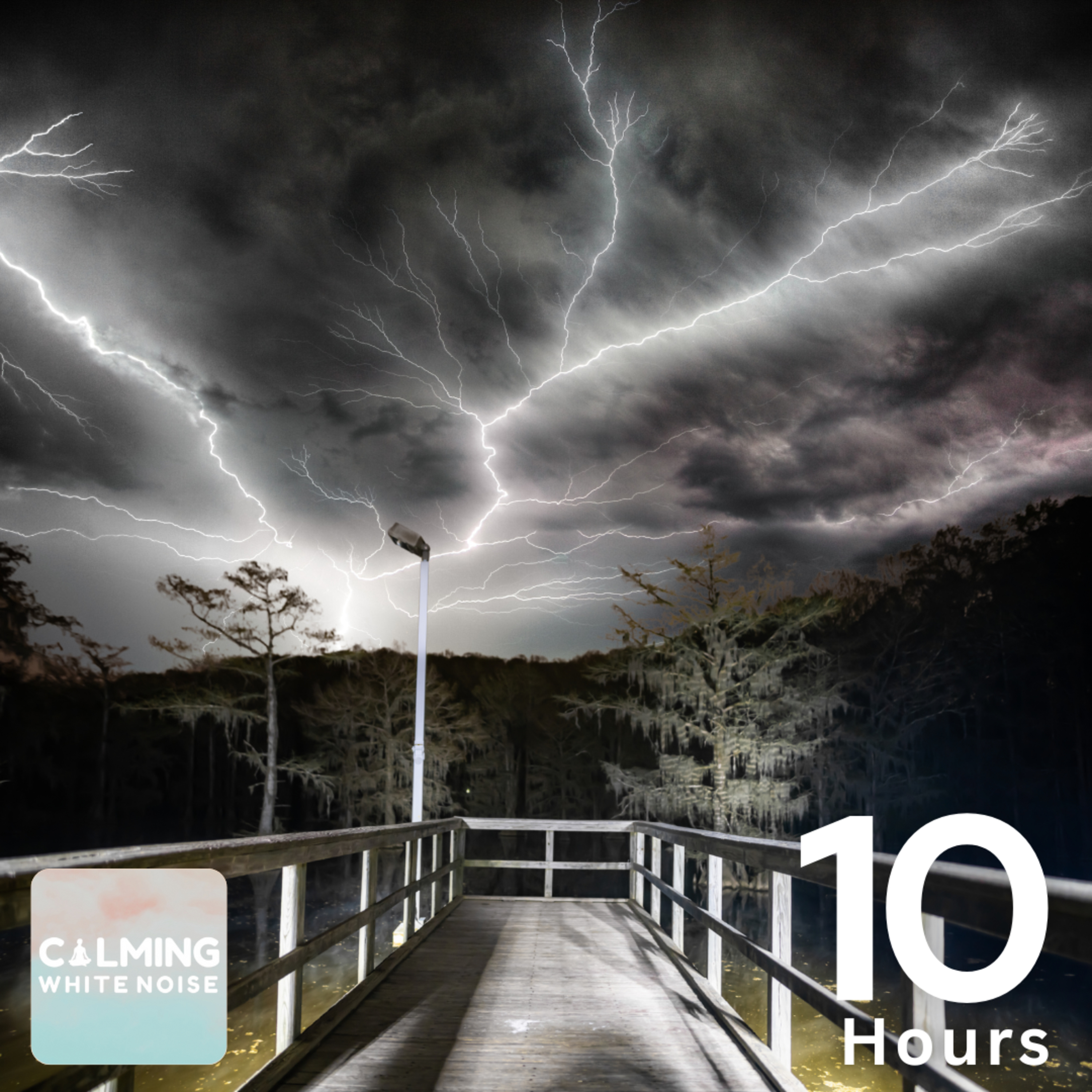 Rain and Thunder in a Swamp at Night (10 Hours) | Frogs, Crickets, and Owls for Sleep