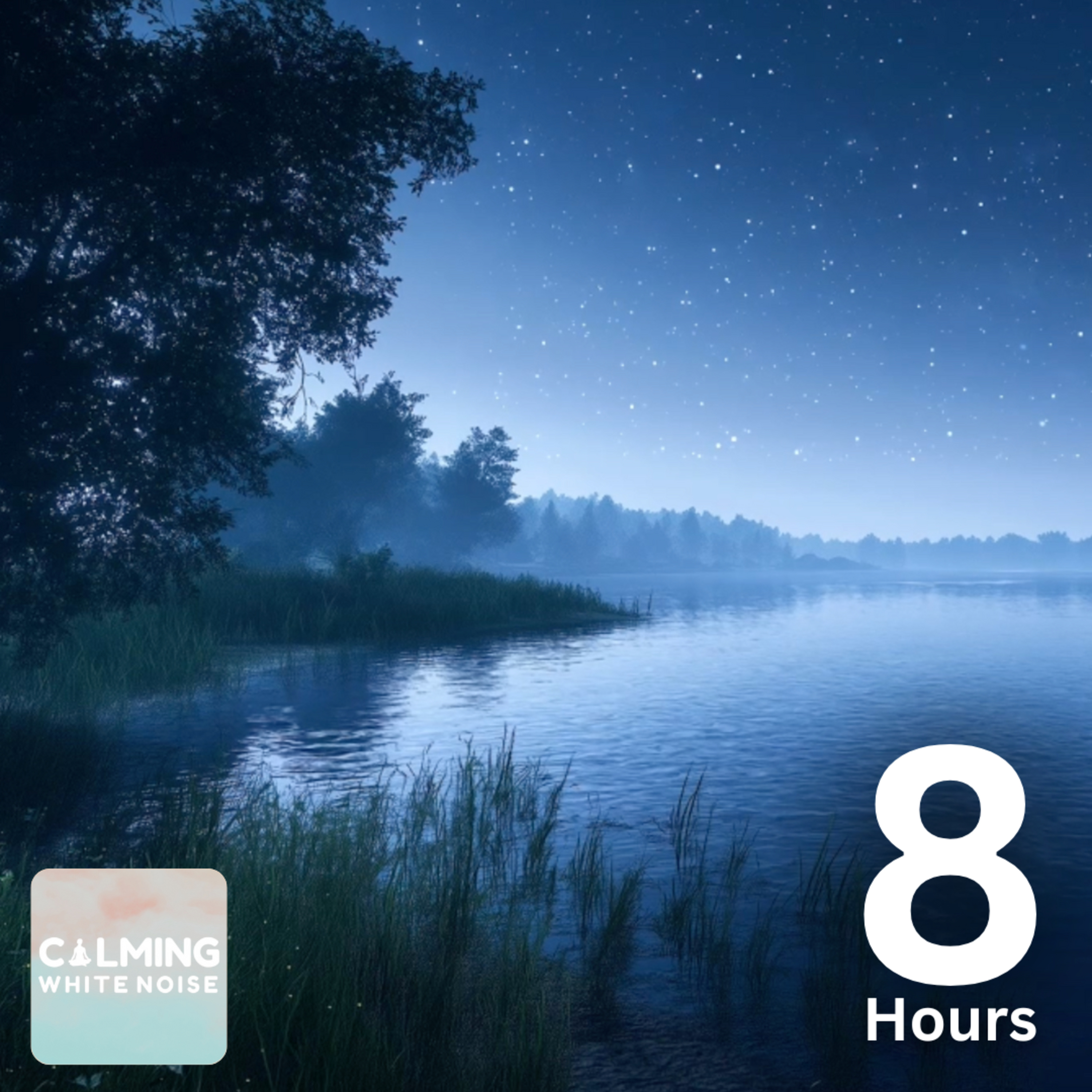 Crickets and Gentle Lake Waves at Night (8 HOURS) | White Noise for Sleep, Relaxation & Nature Focus