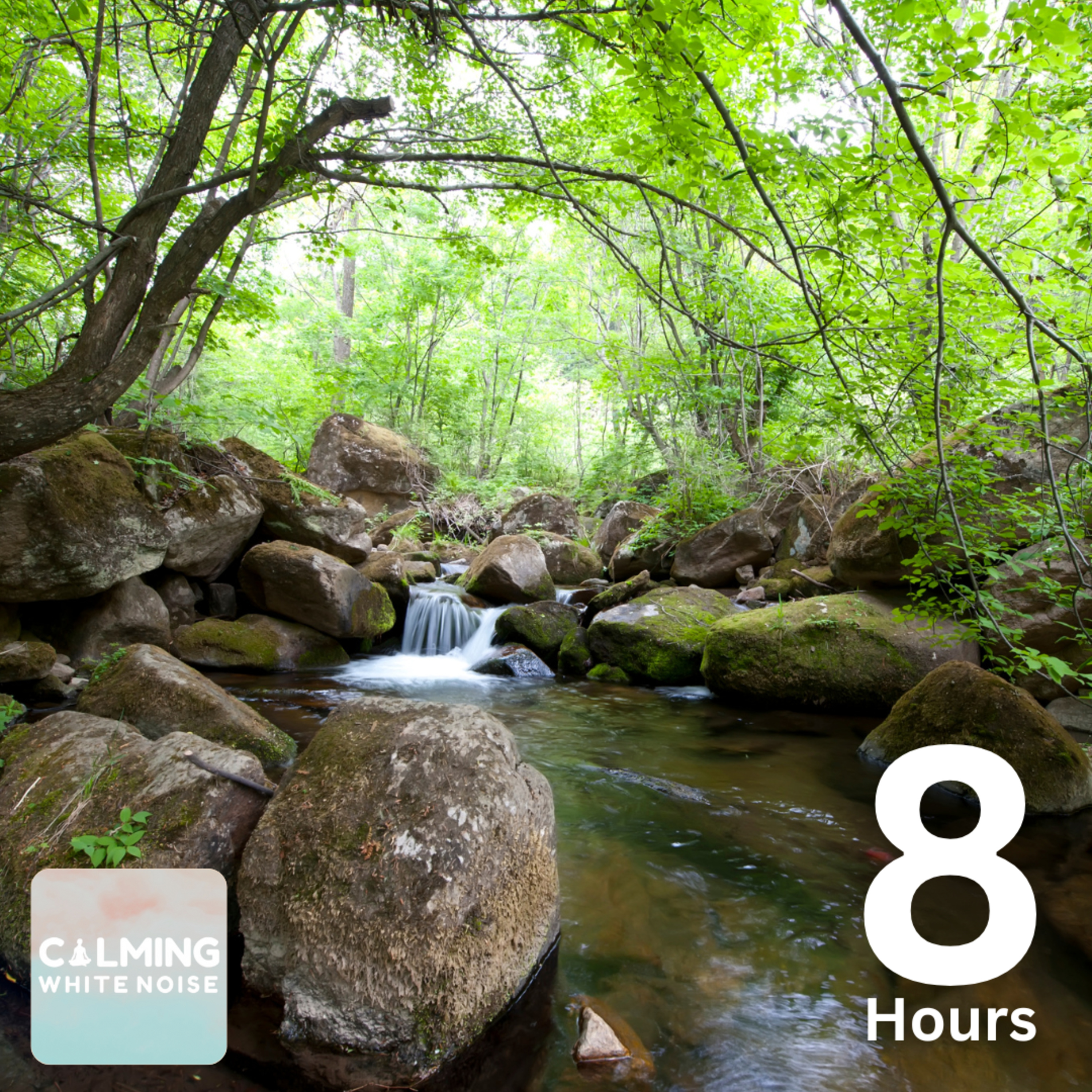 Peaceful Creek Ambience | 8 Hours of Flowing Water for Meditation & Stress Relief