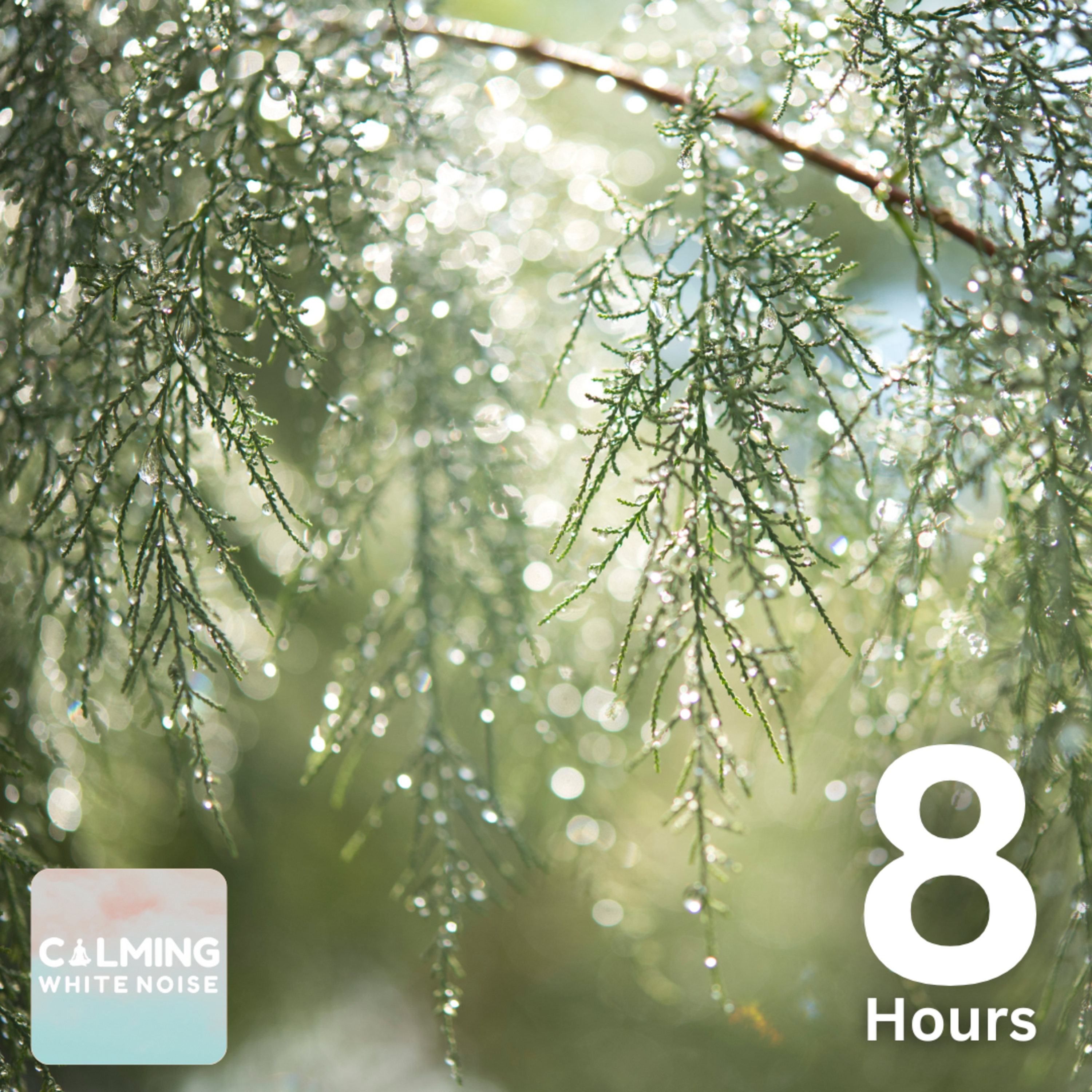 Gentle Rain on Tree Leaves | White Noise Sound for Sleep & Relaxation