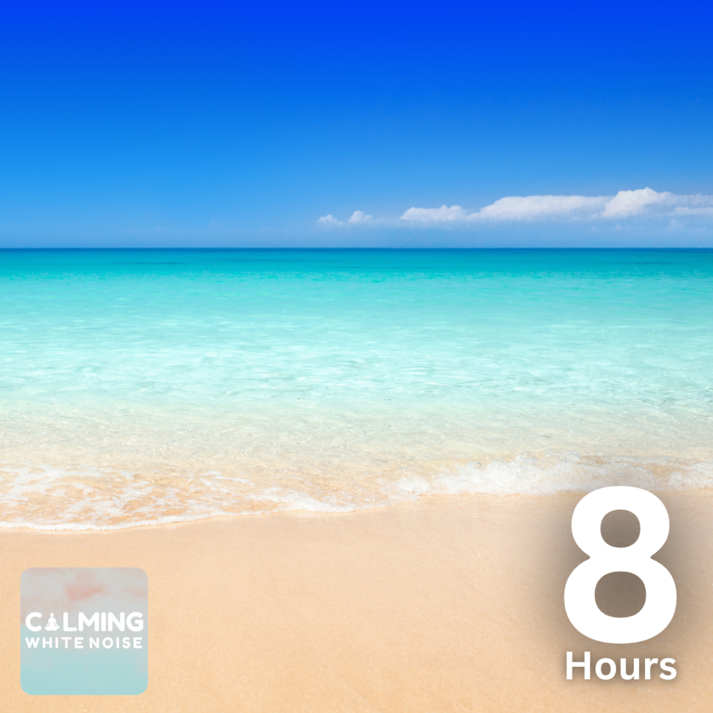 Peaceful Ocean Waves with Seagulls & Wind | Beach Sounds for Sleep and Relaxation