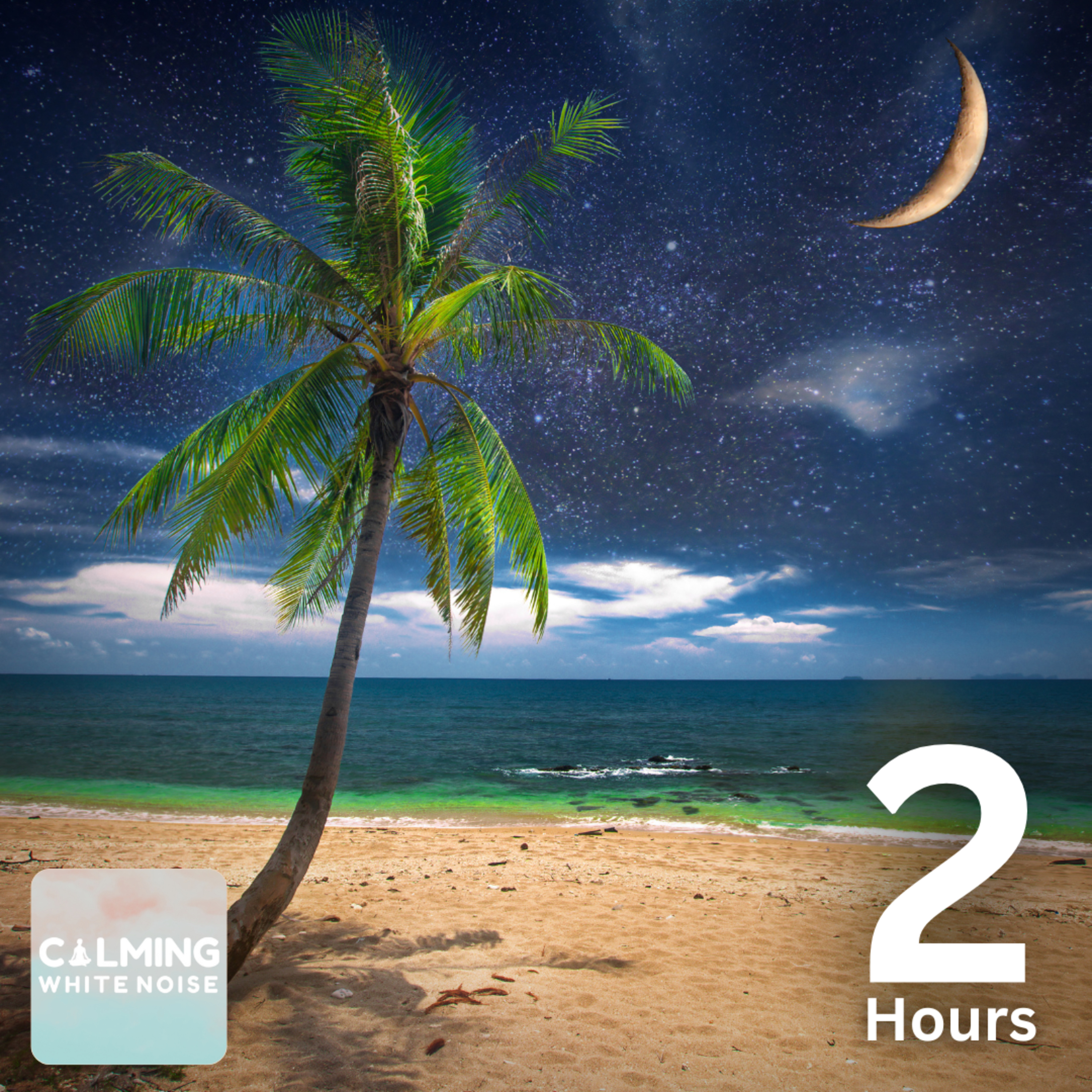 Night Ocean Waves for Sleep 🌙🌊 | Tropical Beach Sounds