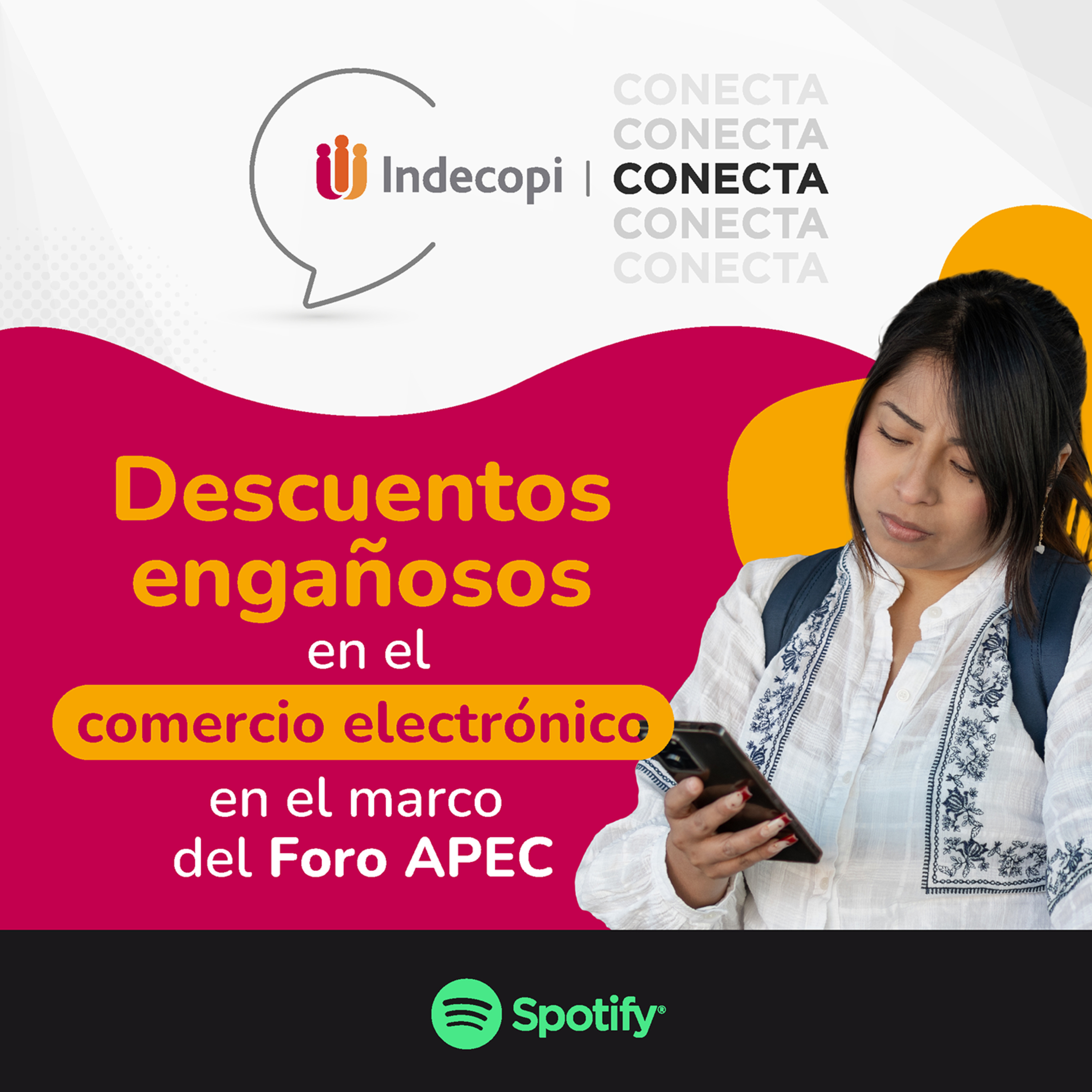 Descuentos engañosos en el comercio electrónico en el marco del Foro APEC. episode artwork
