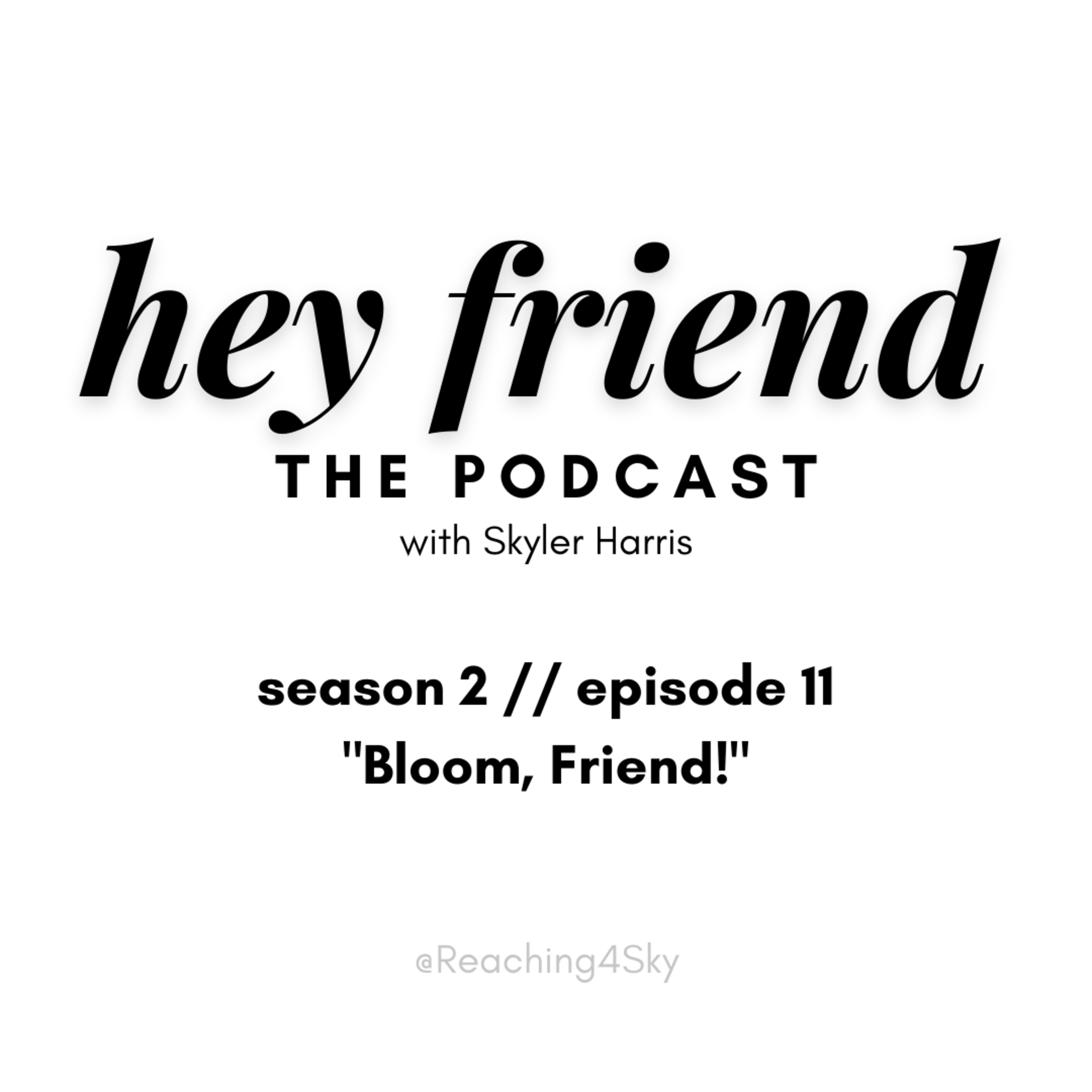 Hey Friend: The Podcast with Skyler \