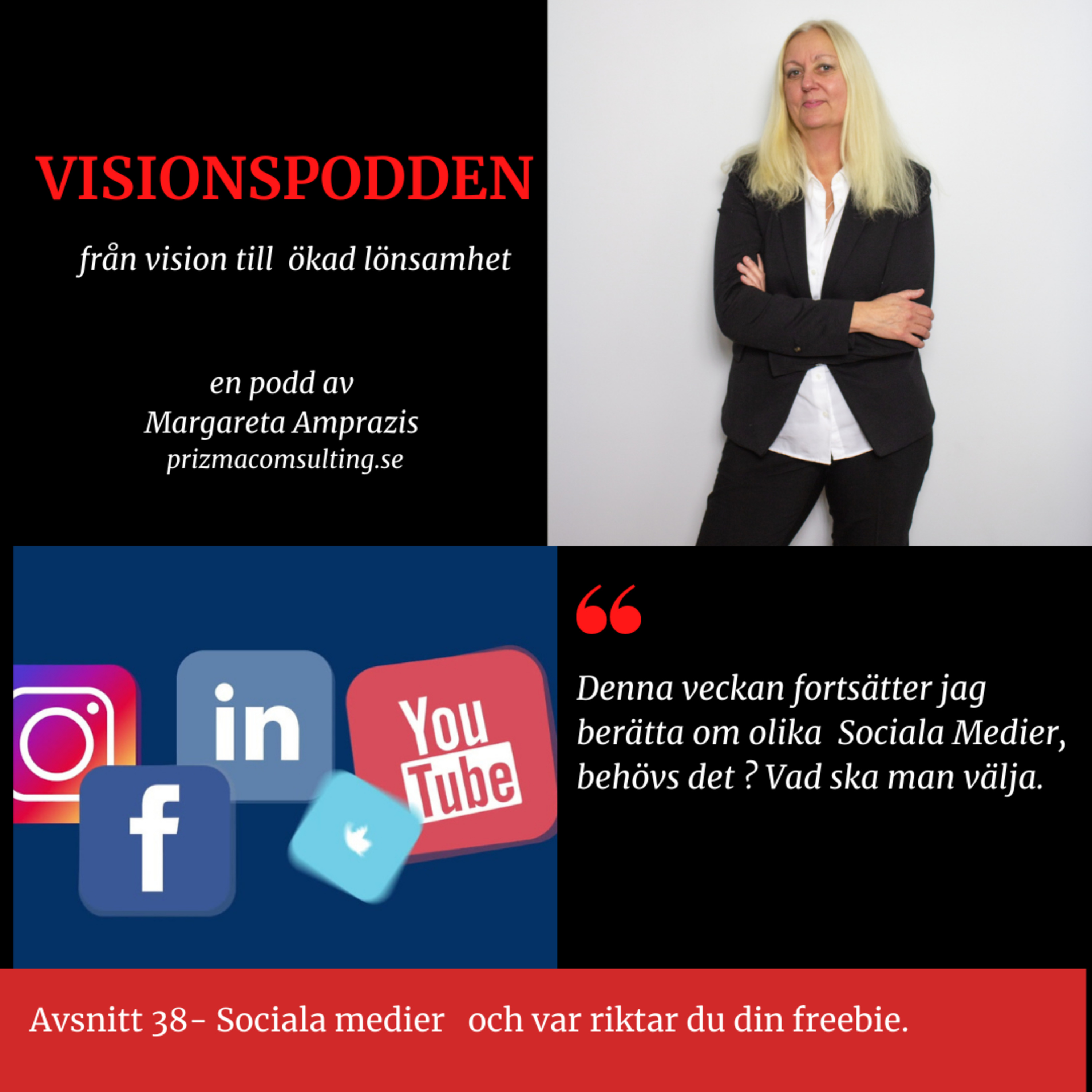 Visionspodden