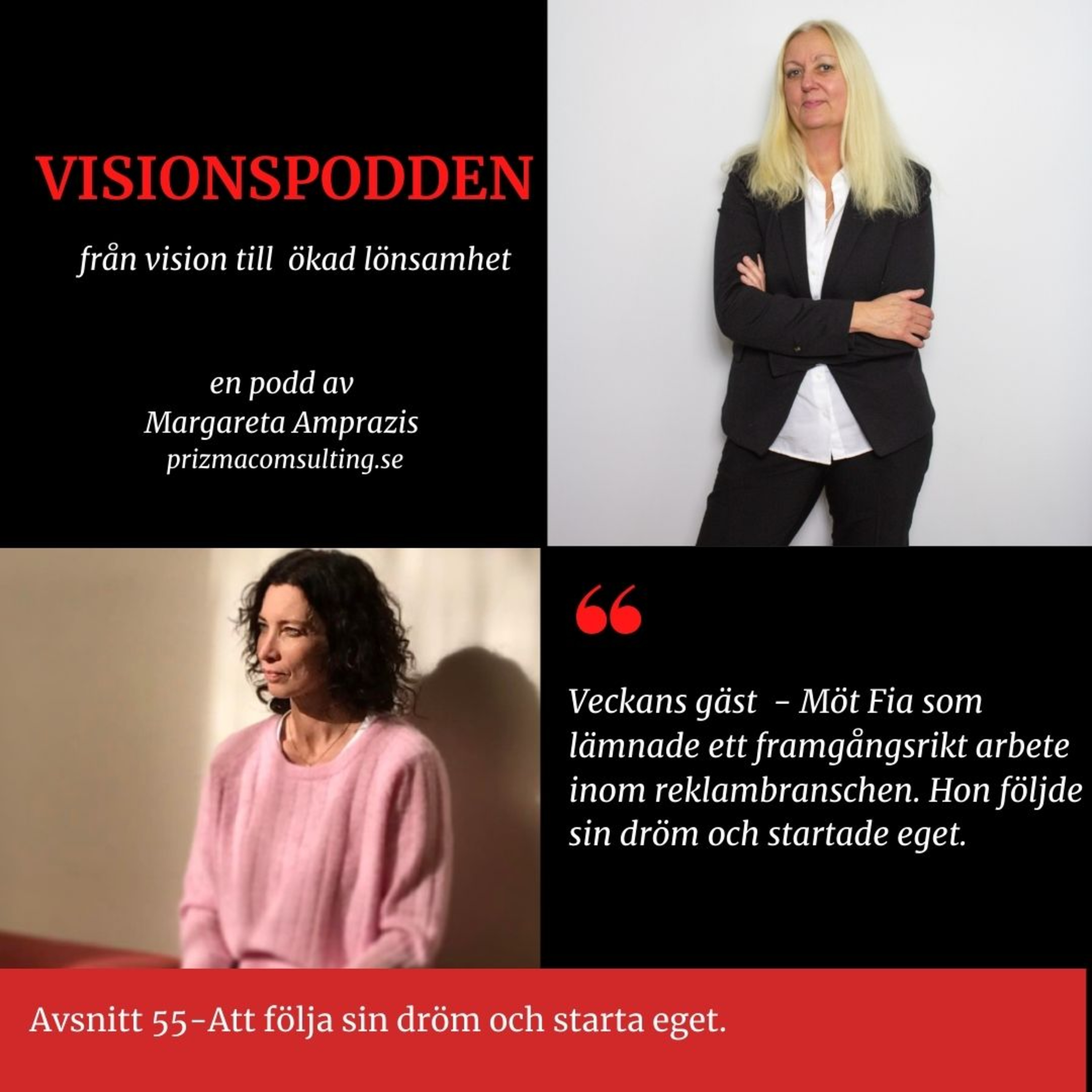 Visionspodden