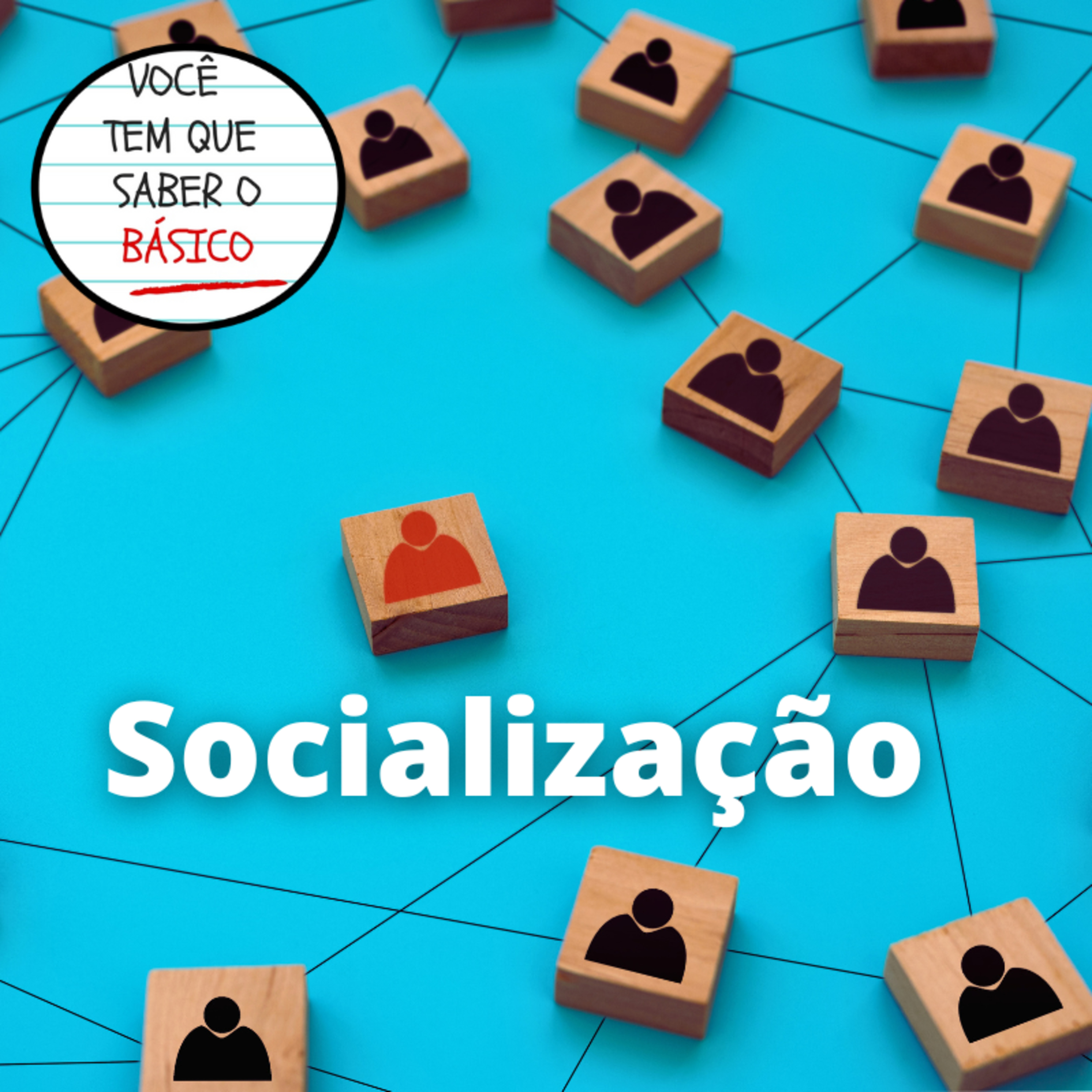 Socialização: O que a Sociologia tem a dizer episode artwork