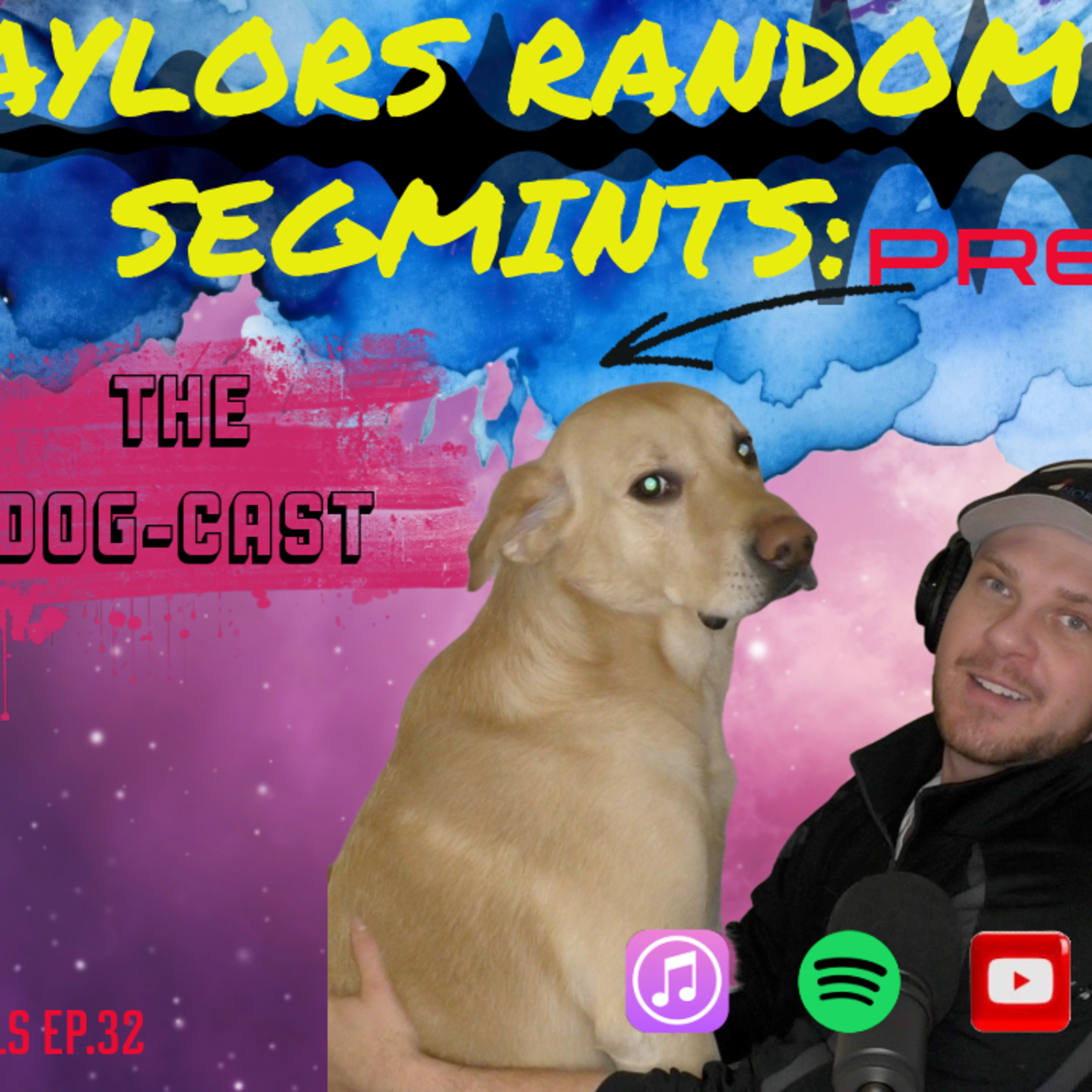 Taylor James Lifestyle show