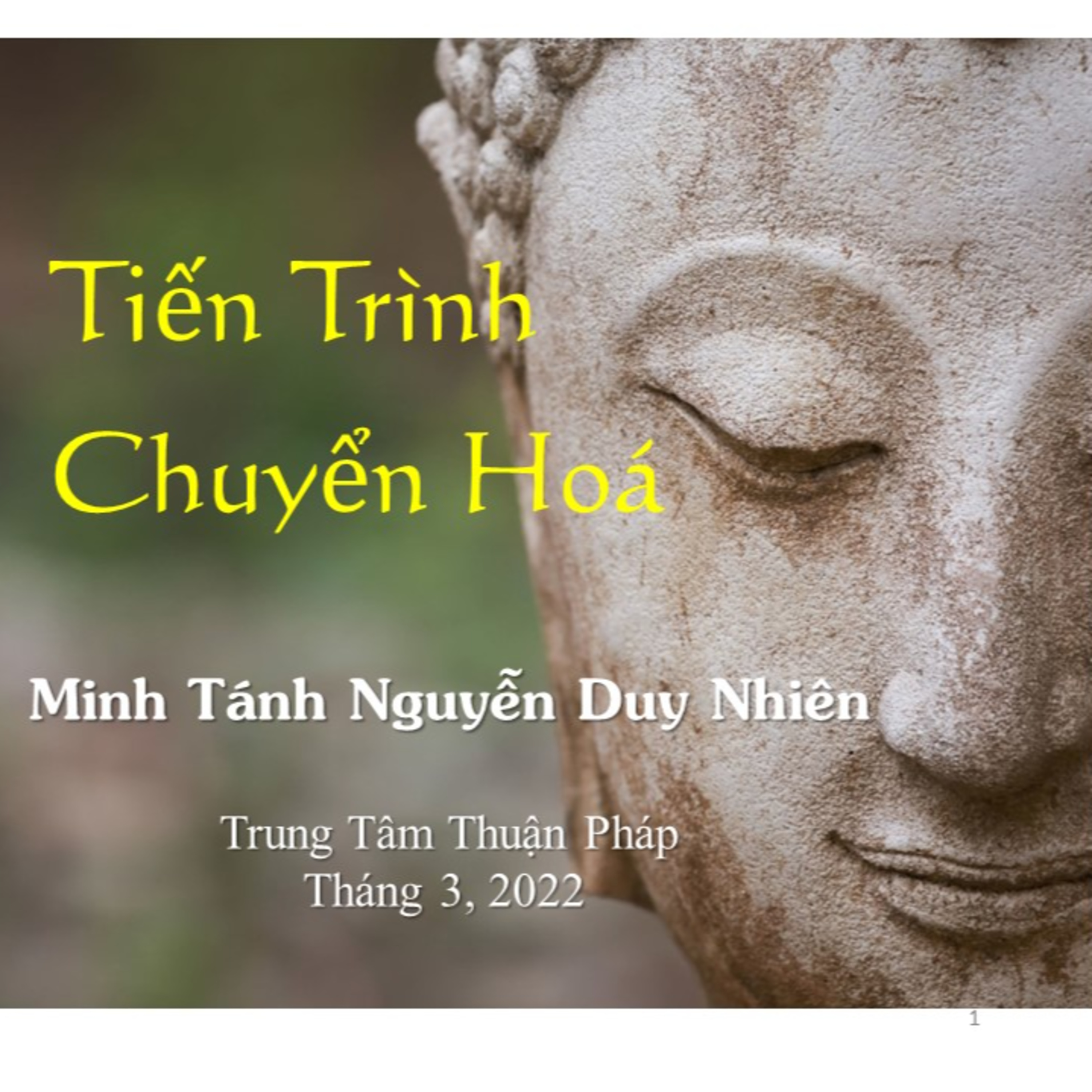 Tỉnh Thức Ứng Dụng