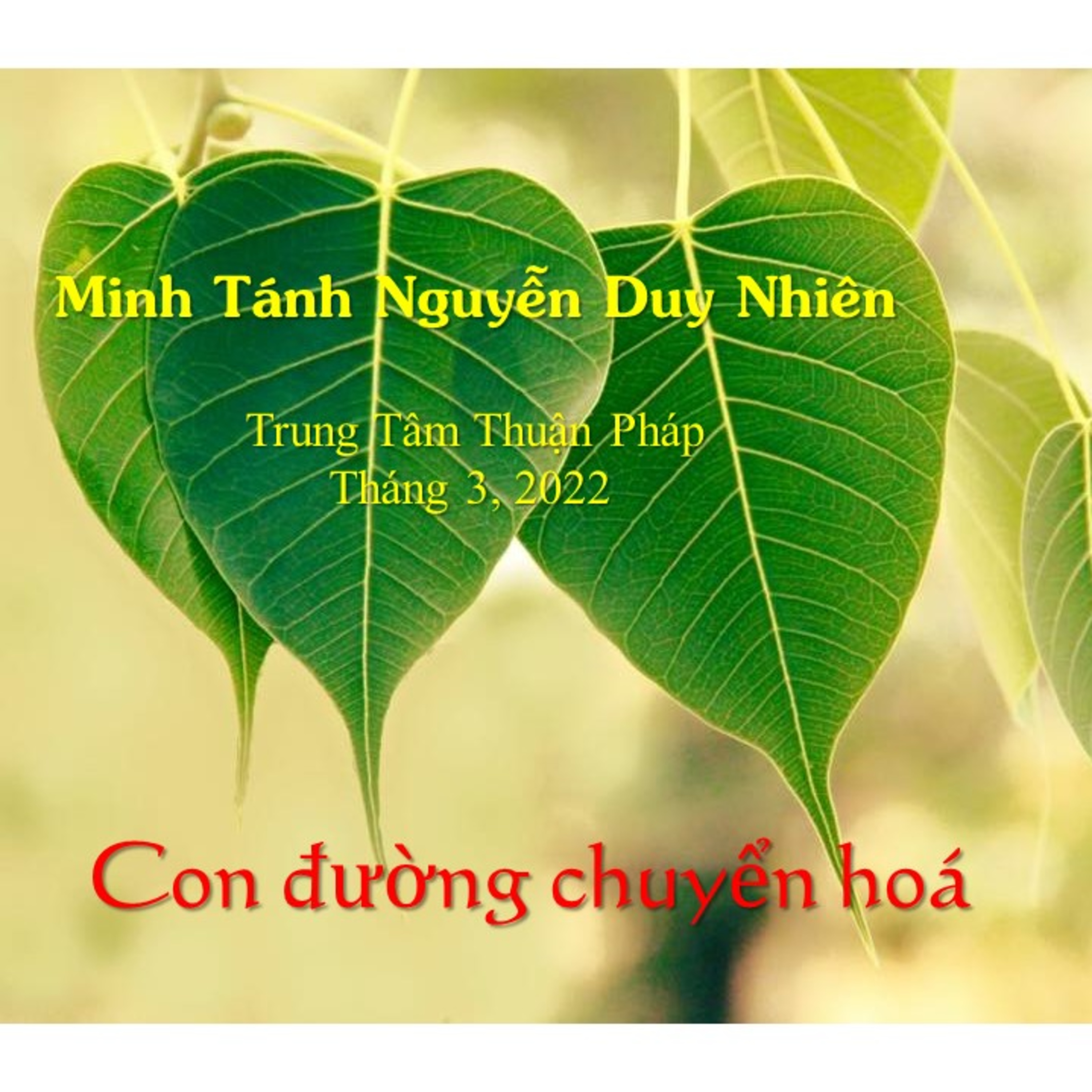Tỉnh Thức Ứng Dụng