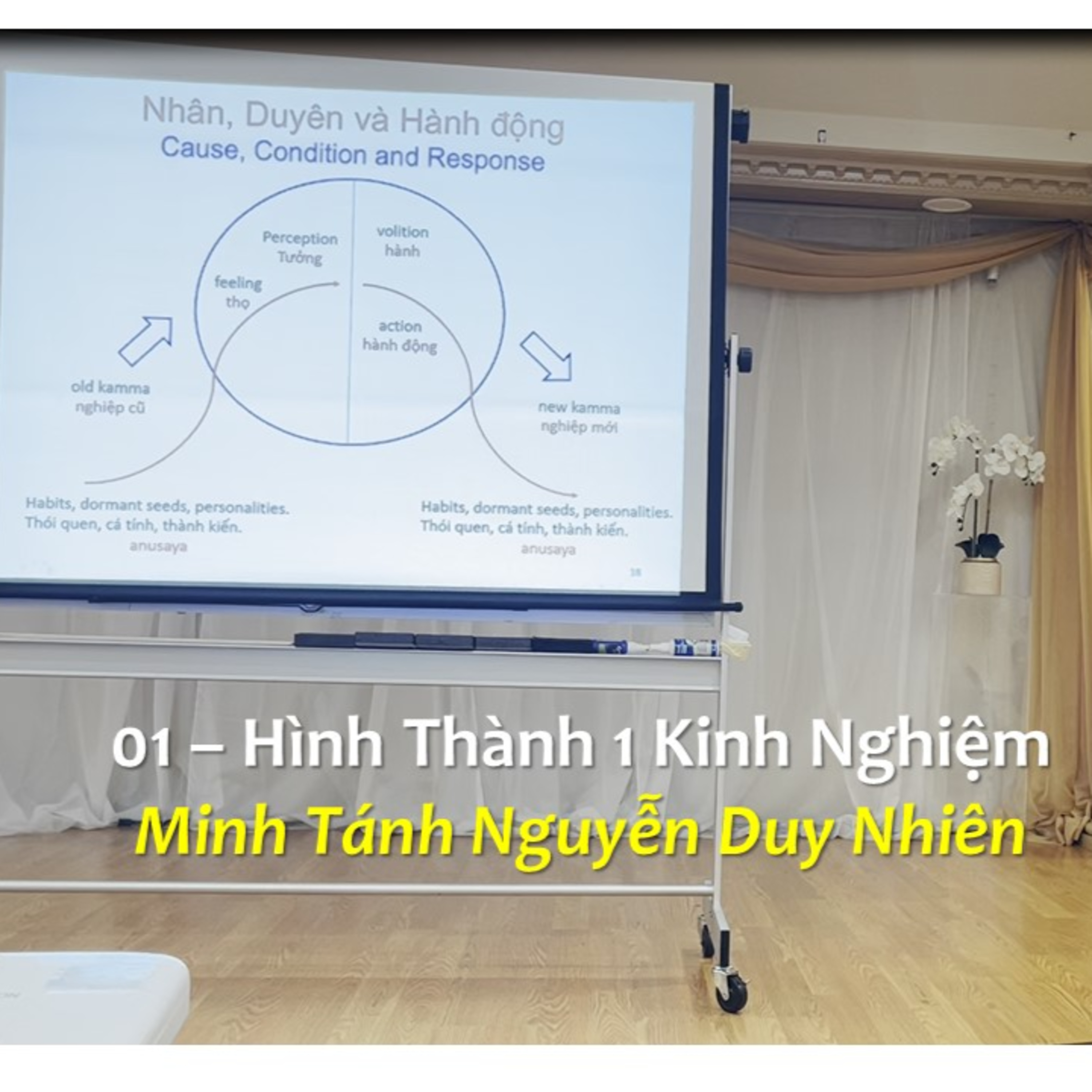 VIDEO: Mar 2022 - 01 Sự Hình Thành Của 1 Kinh Nghiệm. episode artwork