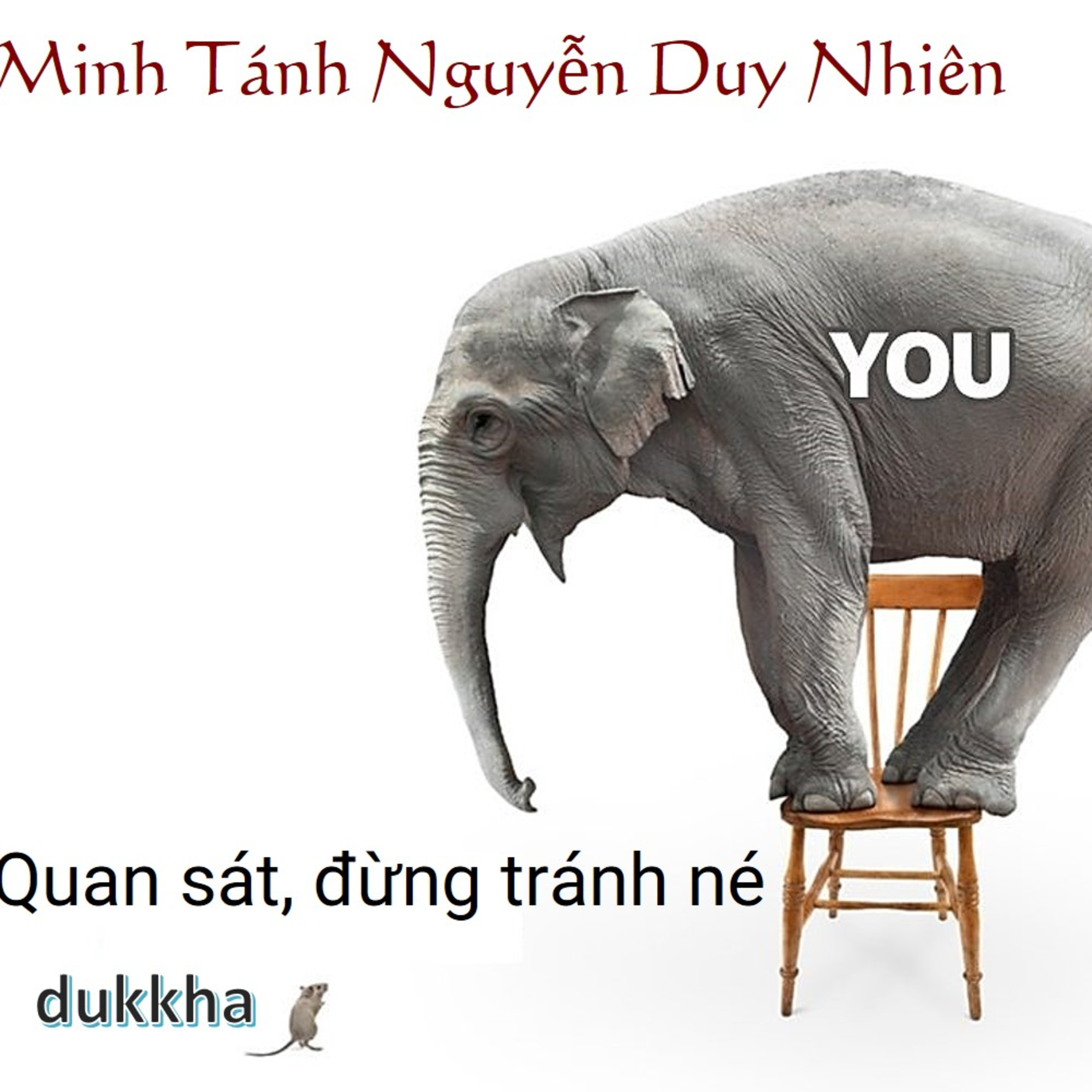Tỉnh Thức Ứng Dụng