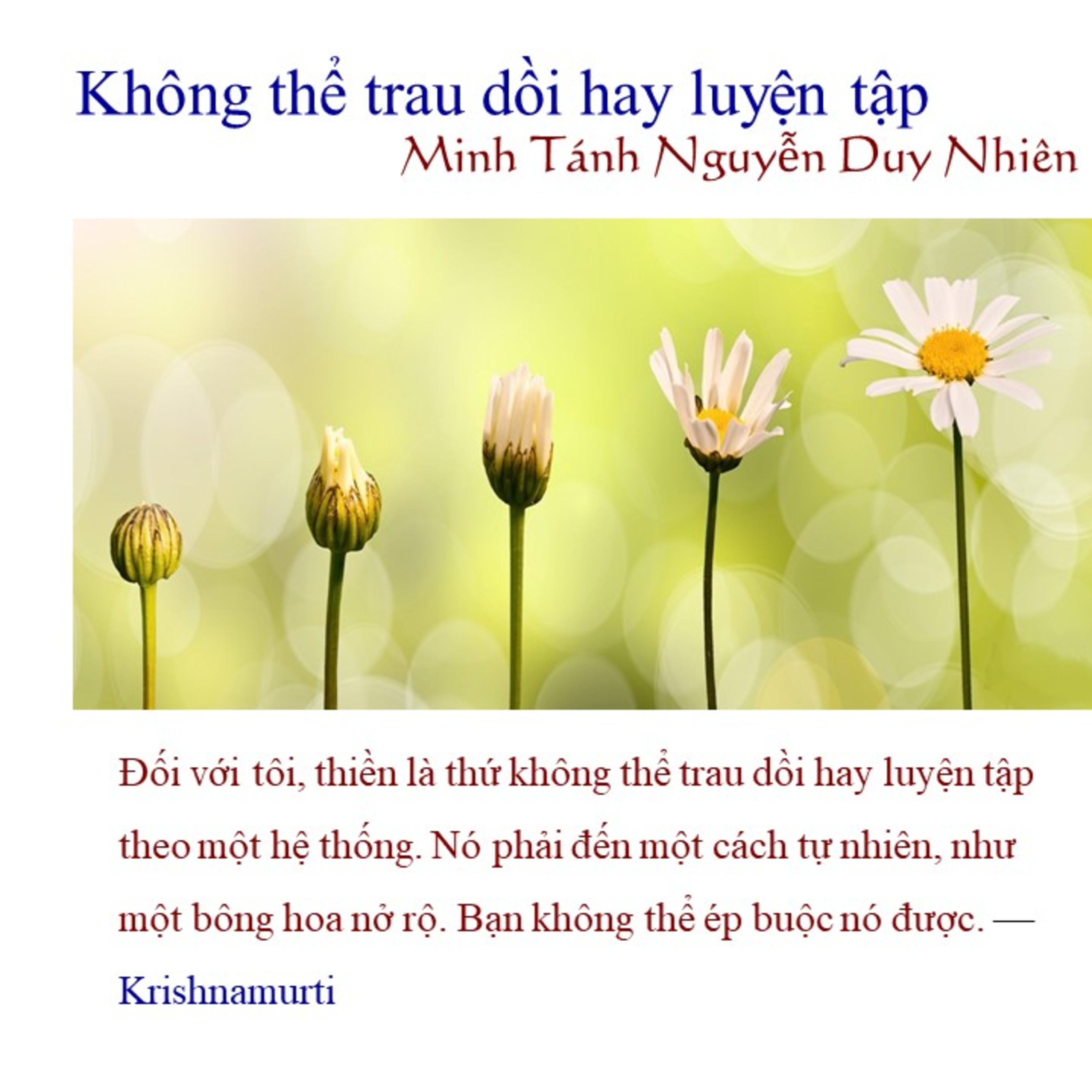 SHORT TALK: Không thể trau dồi hay luyện tập episode artwork
