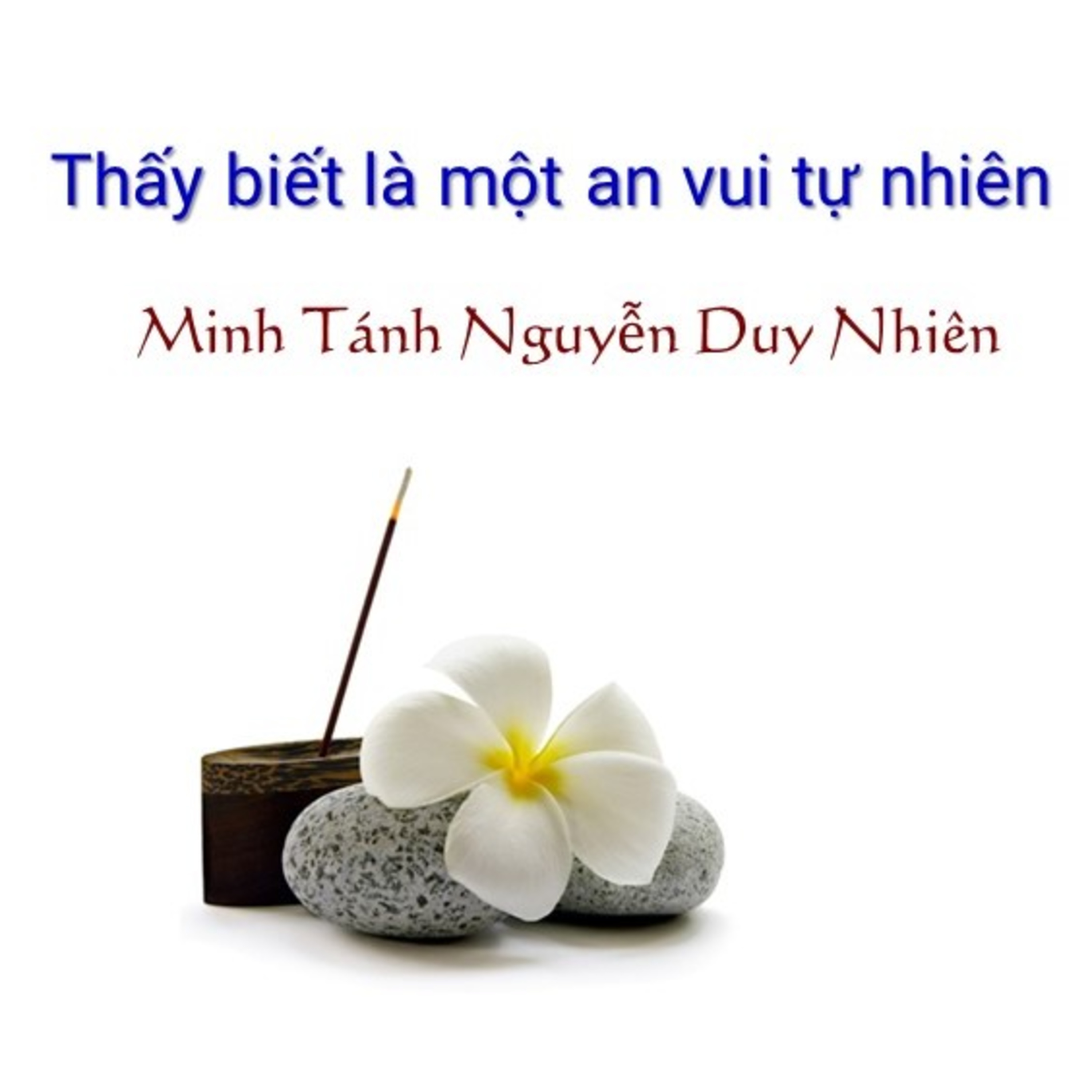 SHORT VIDEO: Thấy biết là 1 An vui Tự nhiên episode artwork