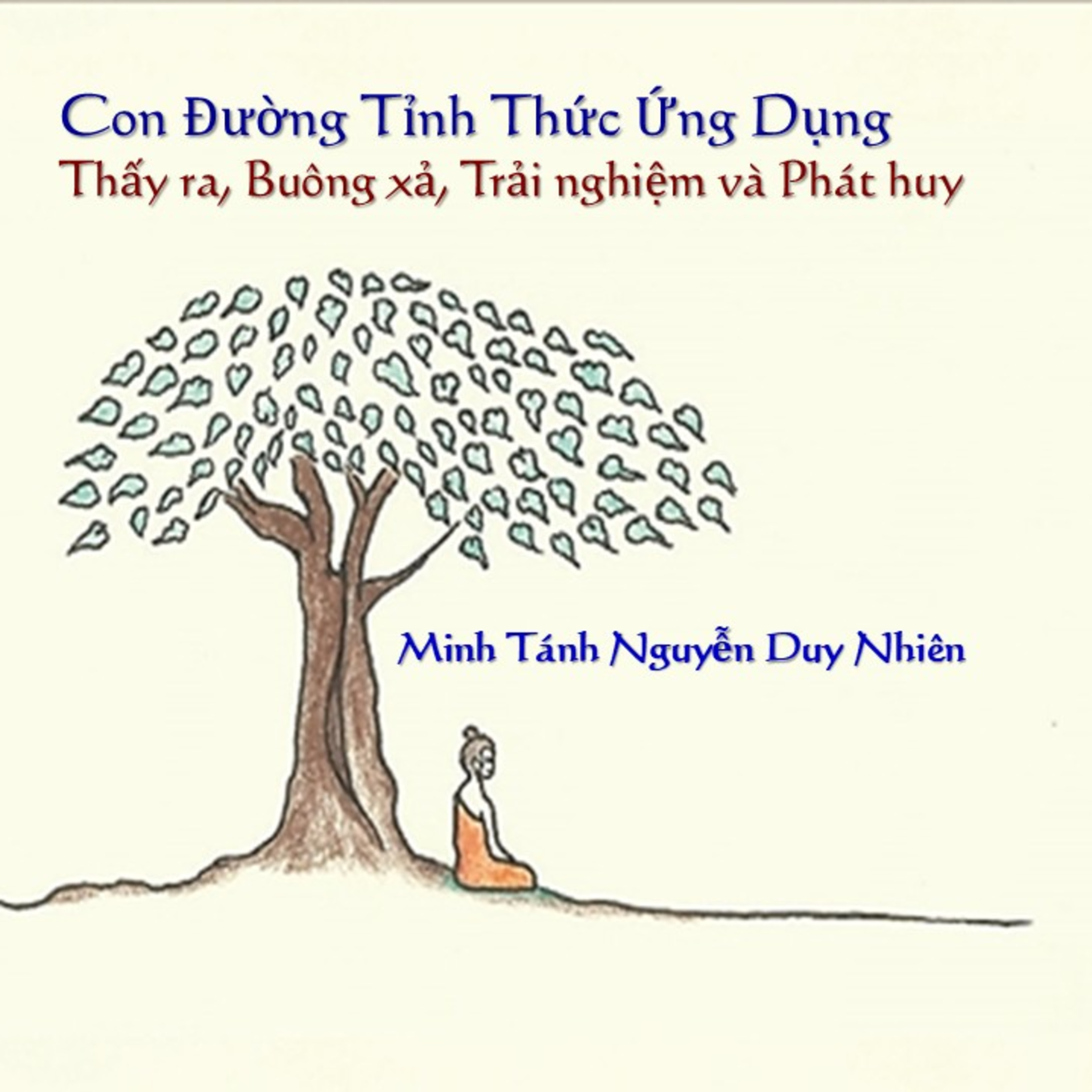 VIDEO: Dec 2024 - 01 Con Đường Tỉnh Thức Ứng Dụng  episode artwork