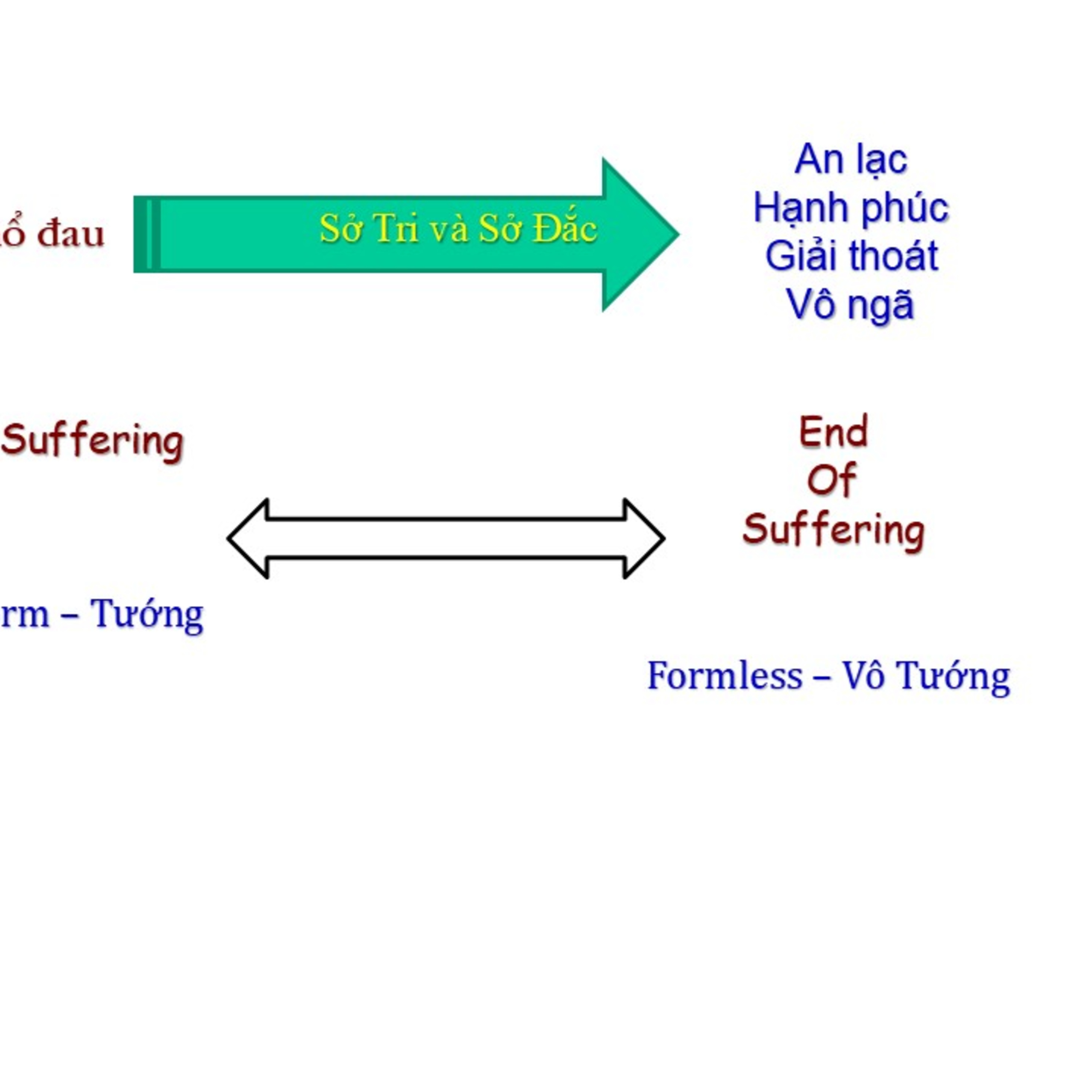 SHORT VIDEO: Tu Học Không Phải để tìm An Lạc episode artwork