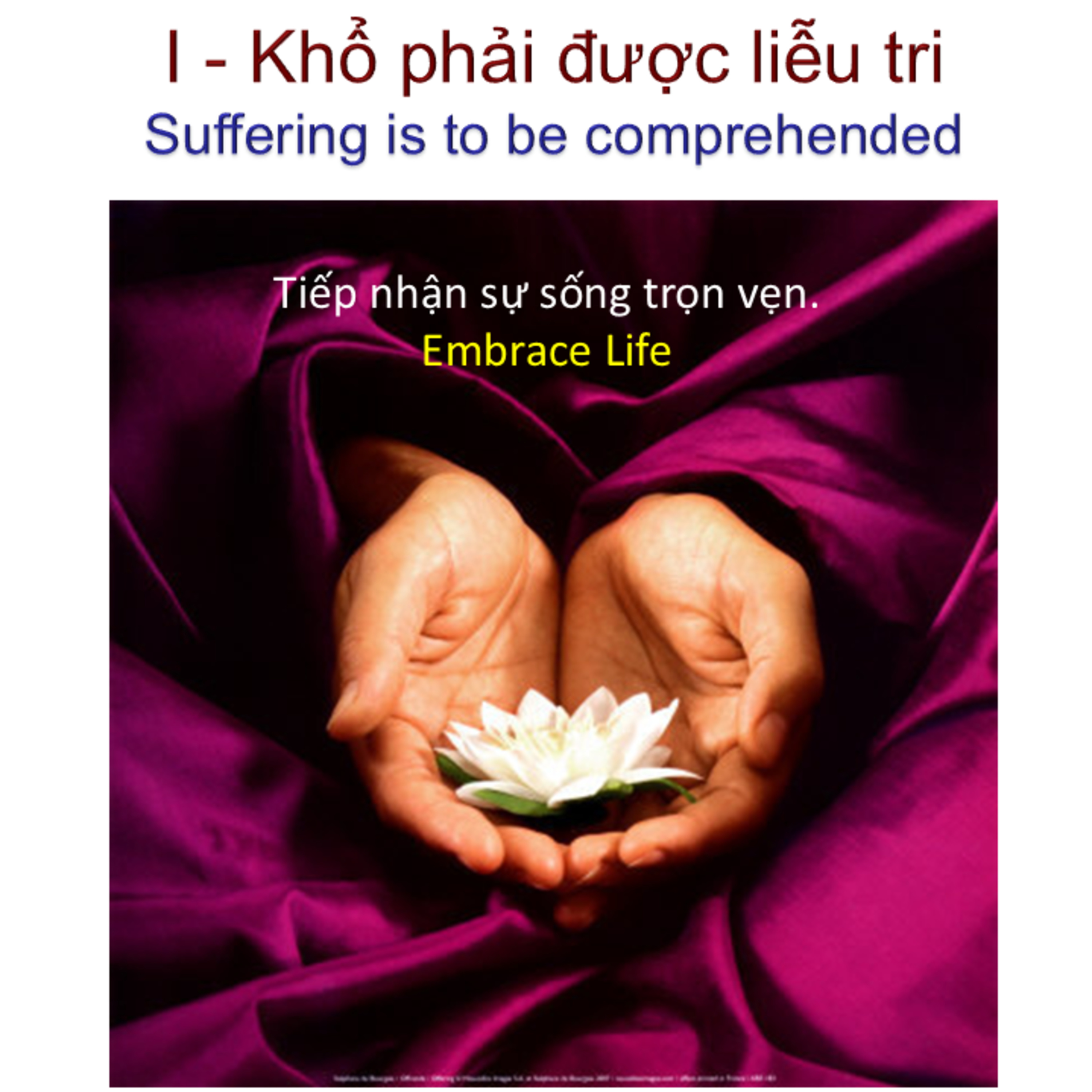 SHORT VIDEO: Trọn vẹn để thấy ra nguyên nhân khổ đau episode artwork
