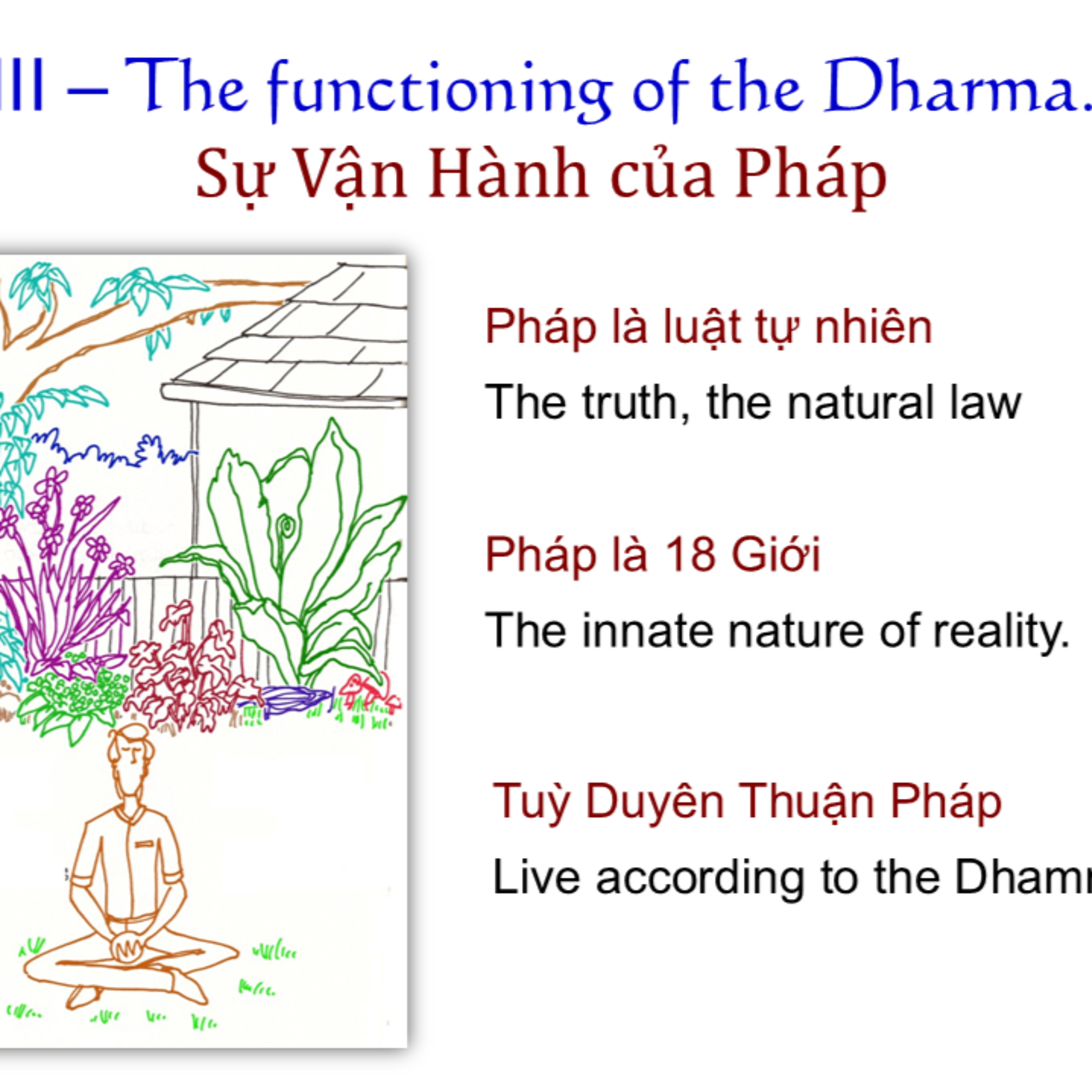 SHORT VIDEO: Sự vận hành của Pháp episode artwork