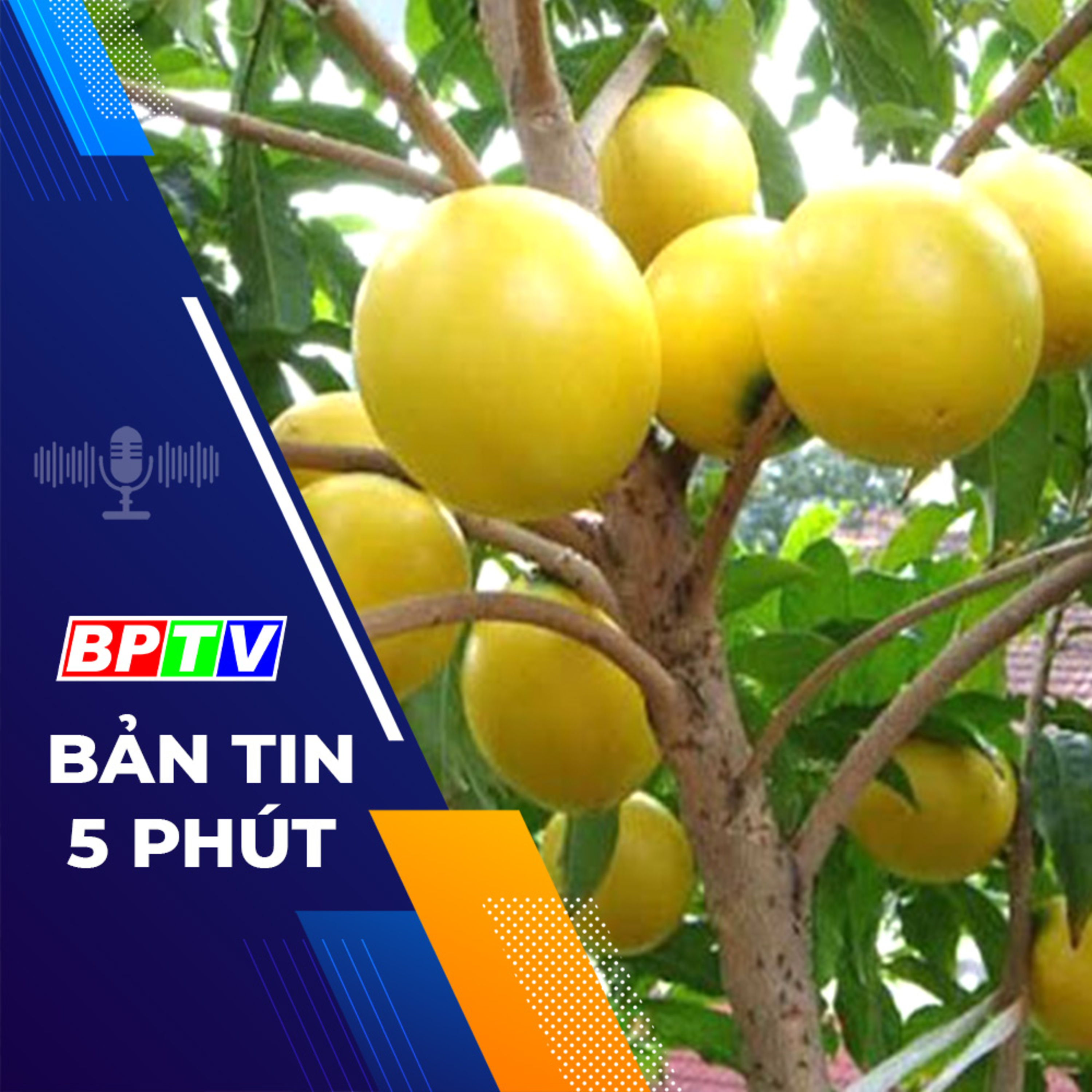 5 phút sáng nay 9-12-2023 episode artwork