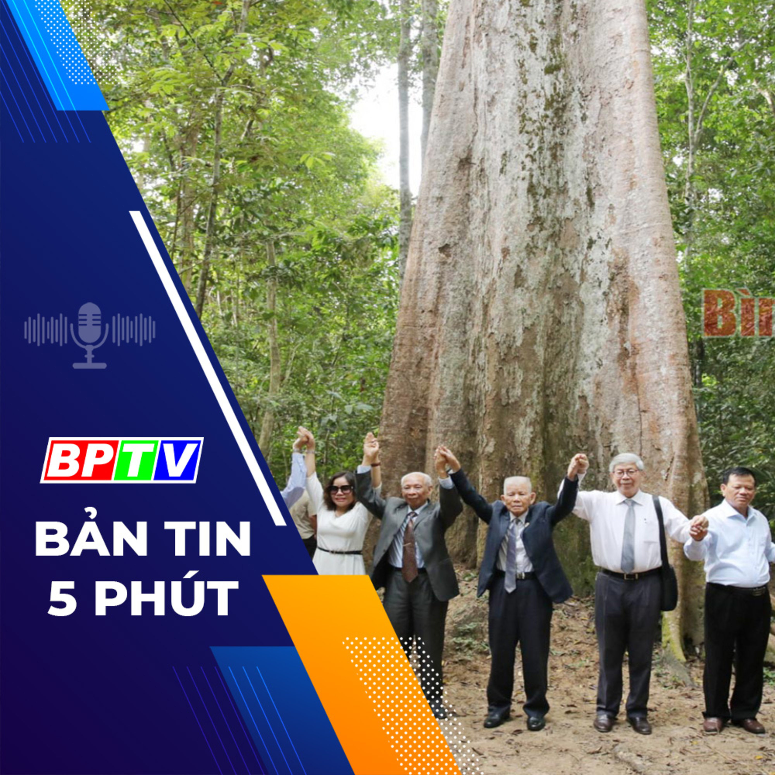 5 phút trưa nay 9-12-2023 episode artwork