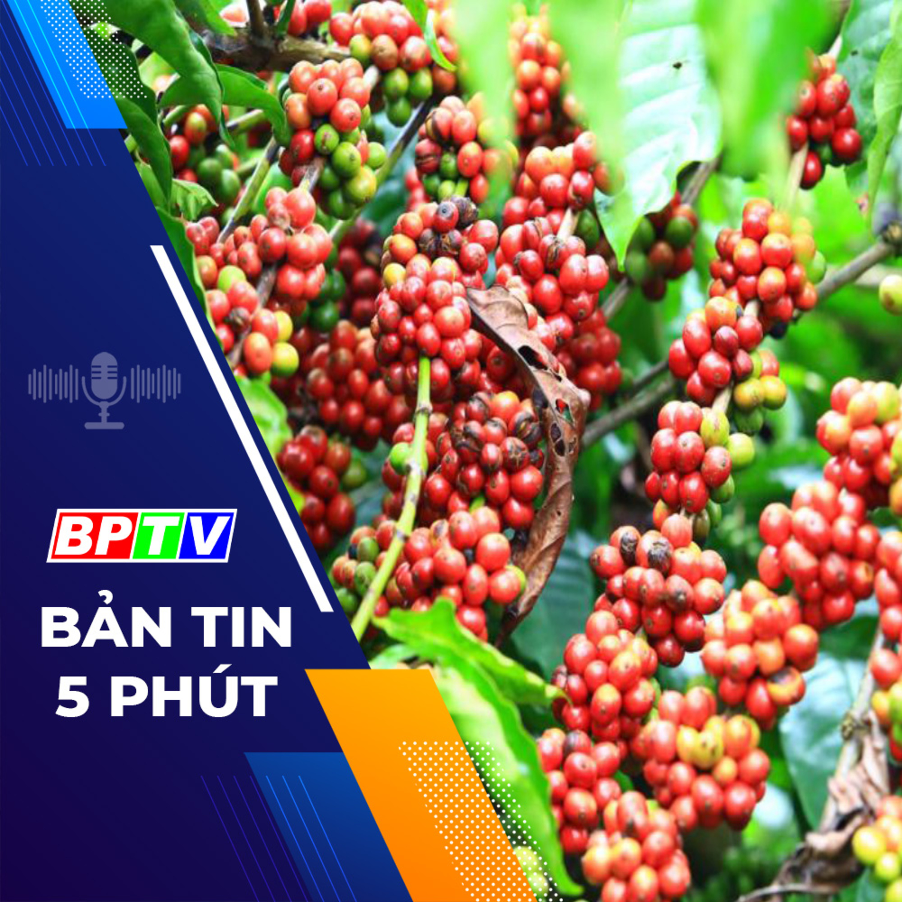 5 phút tối nay 9-12-2023  episode artwork