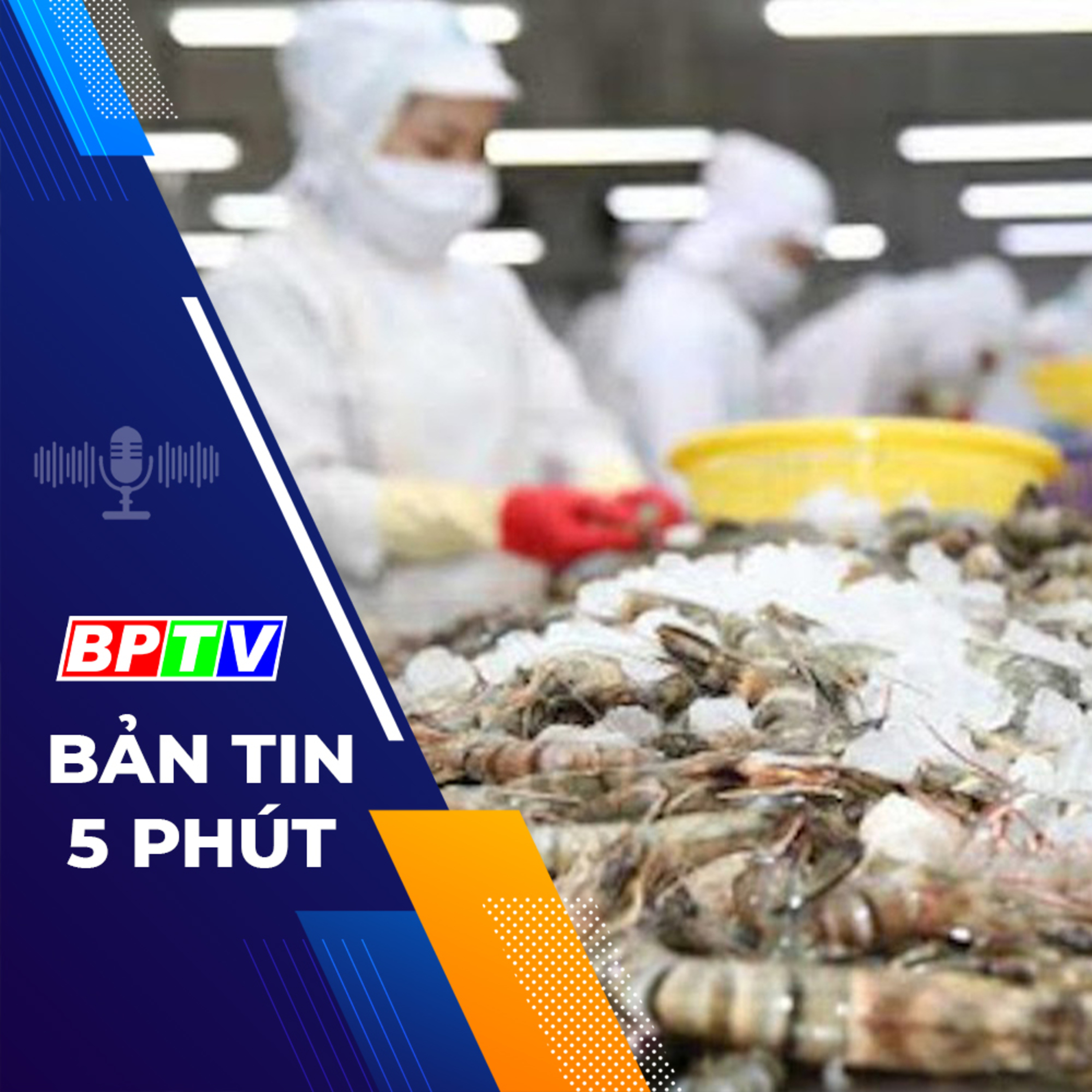 5 phút tối nay 10-12-2023 episode artwork