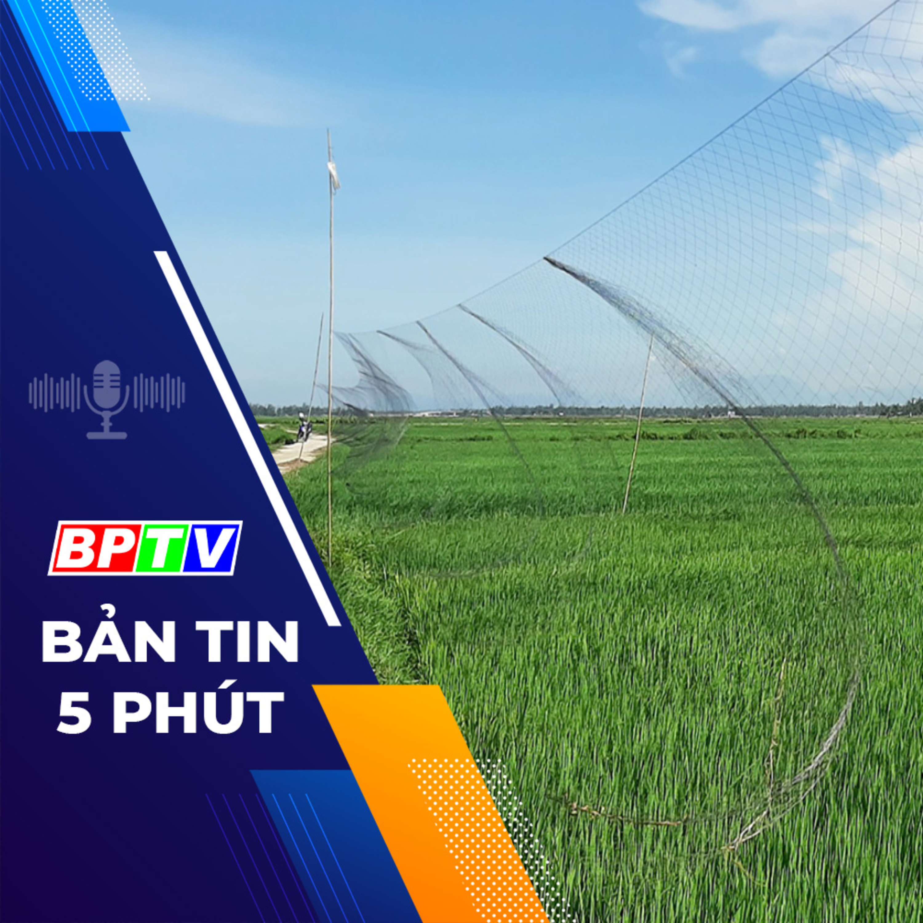 5 phút sáng nay 19-12-2023 episode artwork