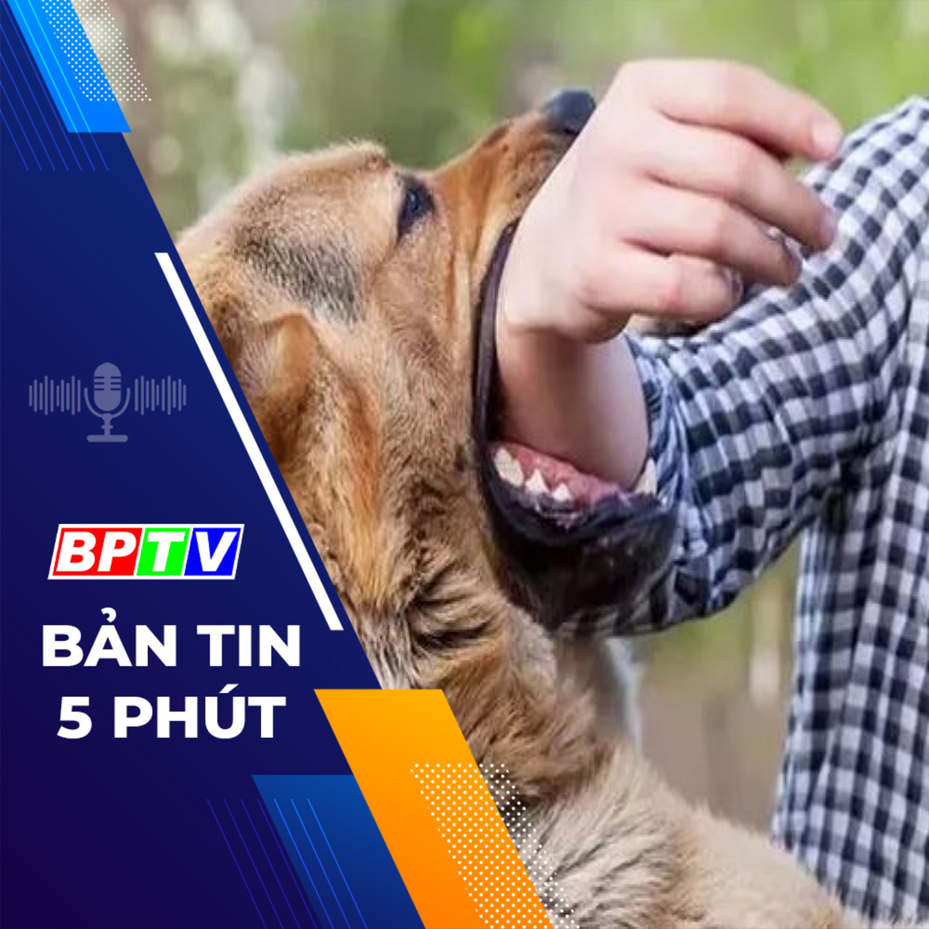 5 phút trưa nay 23-12-2023 episode artwork
