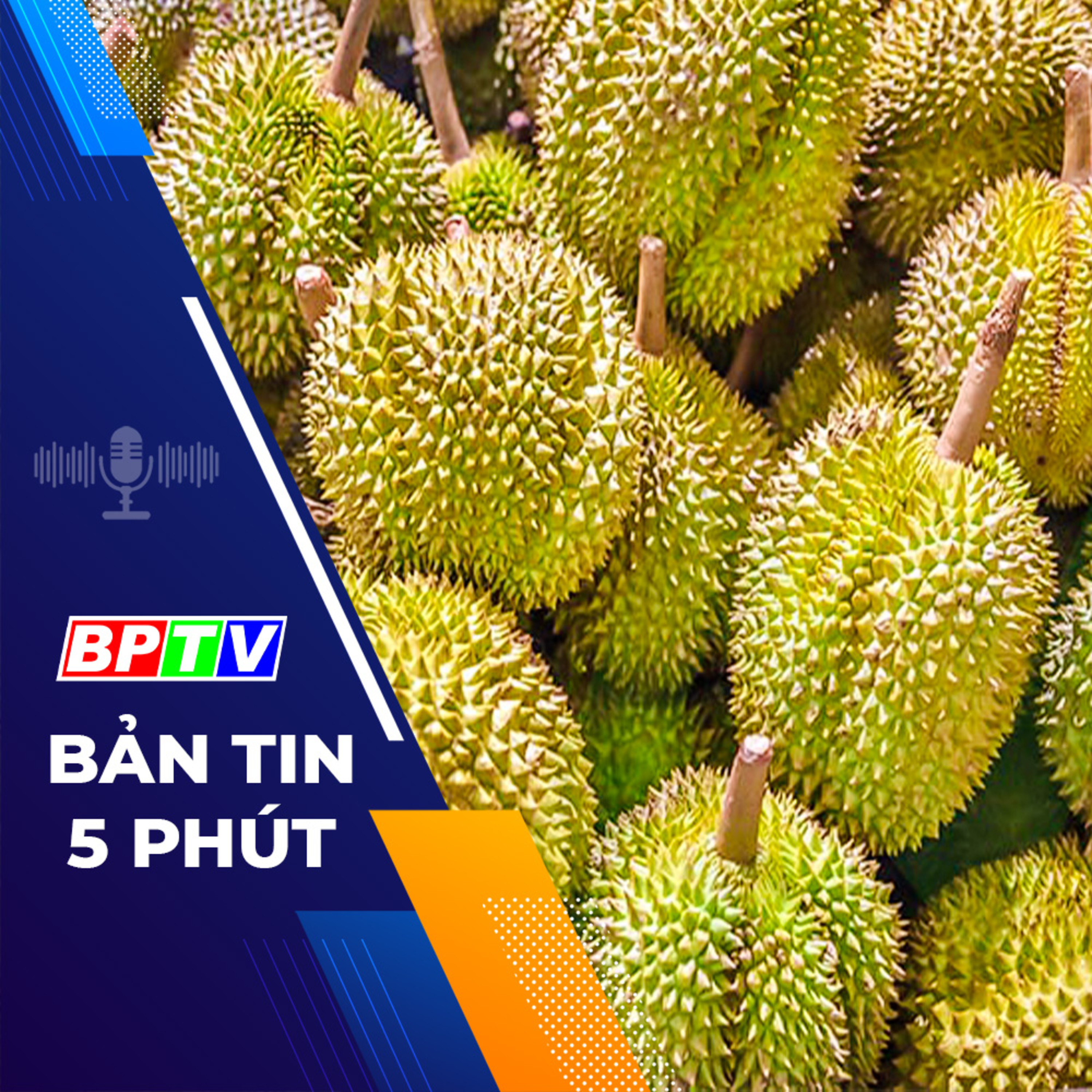 5 phút sáng nay 29-12-2023 episode artwork