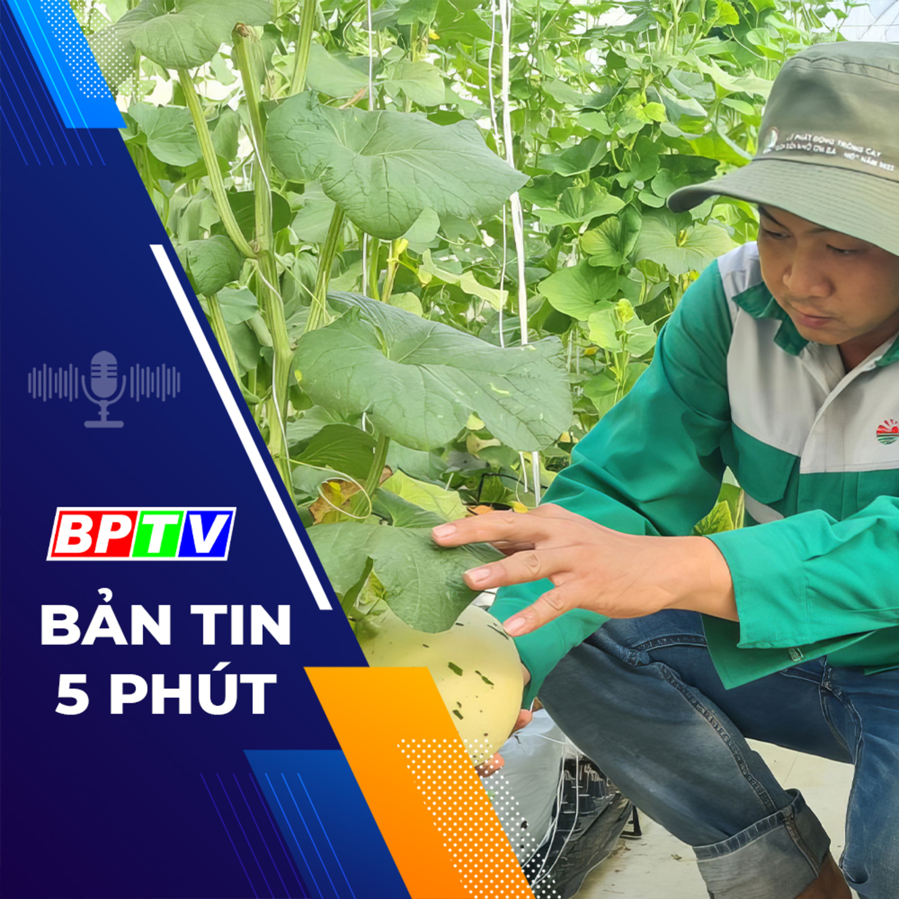 5 phút tối nay 30-12-2023 episode artwork