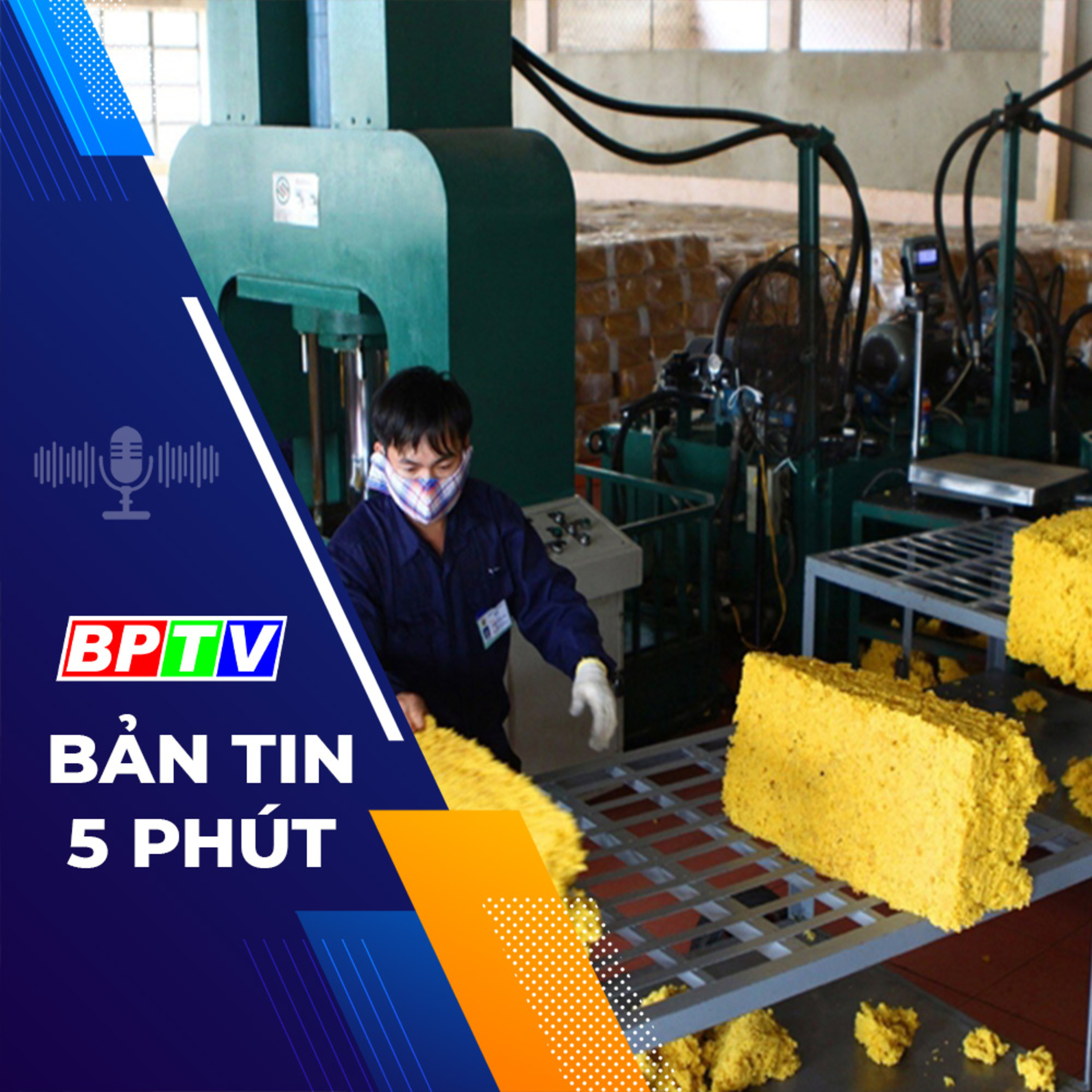  5 phút trưa nay 3-1-2024 episode artwork