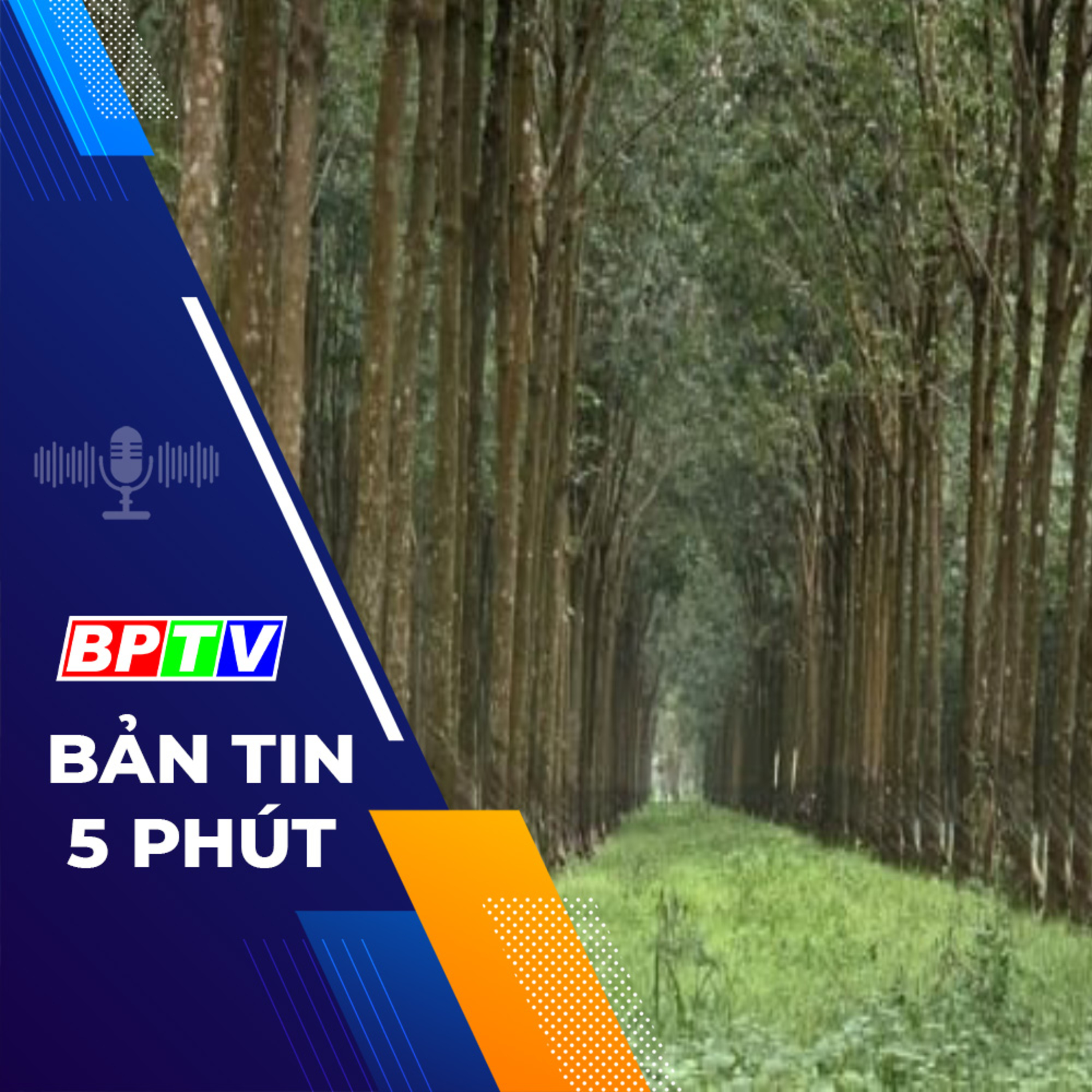 5 phút sáng nay 4-1-2024 episode artwork