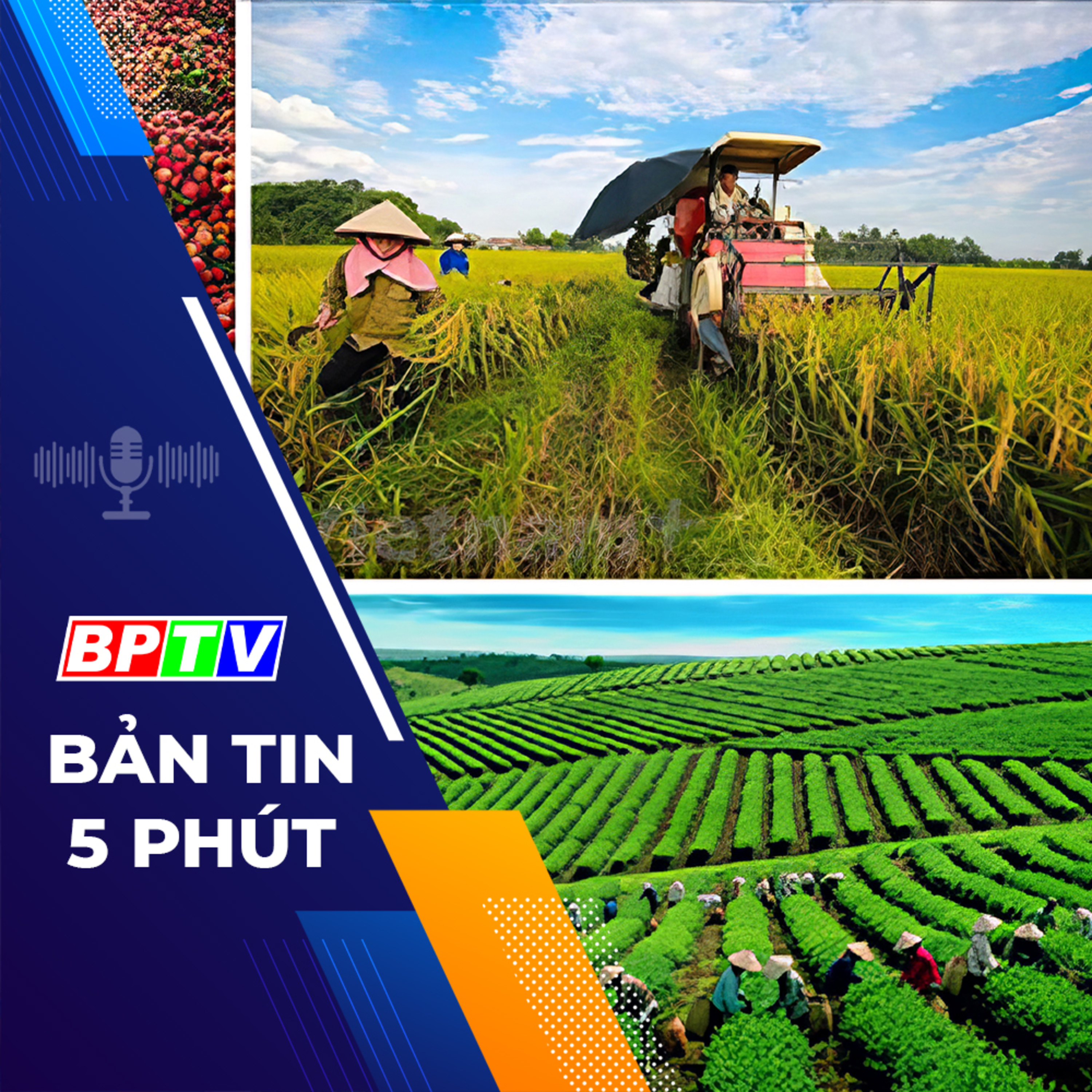 5 phút tối nay 7-1-2024 episode artwork