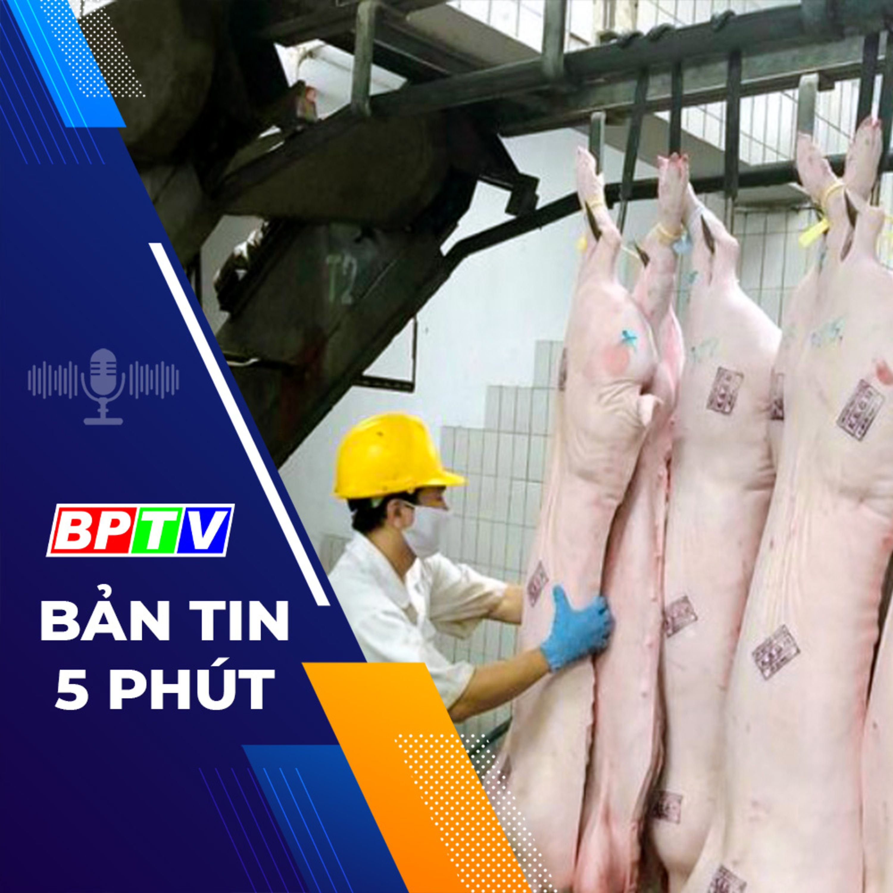 5 phút sáng nay 10-1-2024 episode artwork