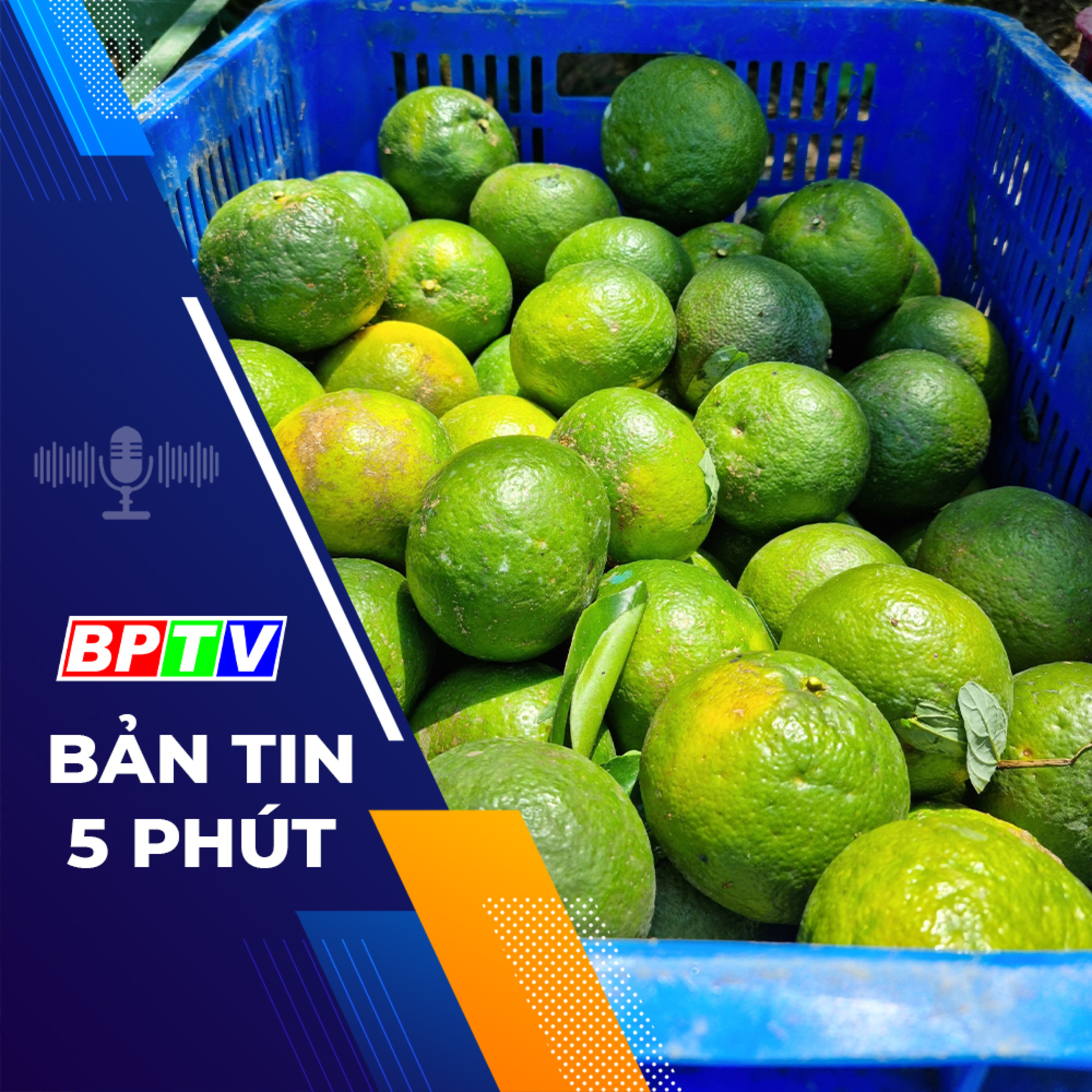 5 phút sáng nay 11-1-2024 episode artwork