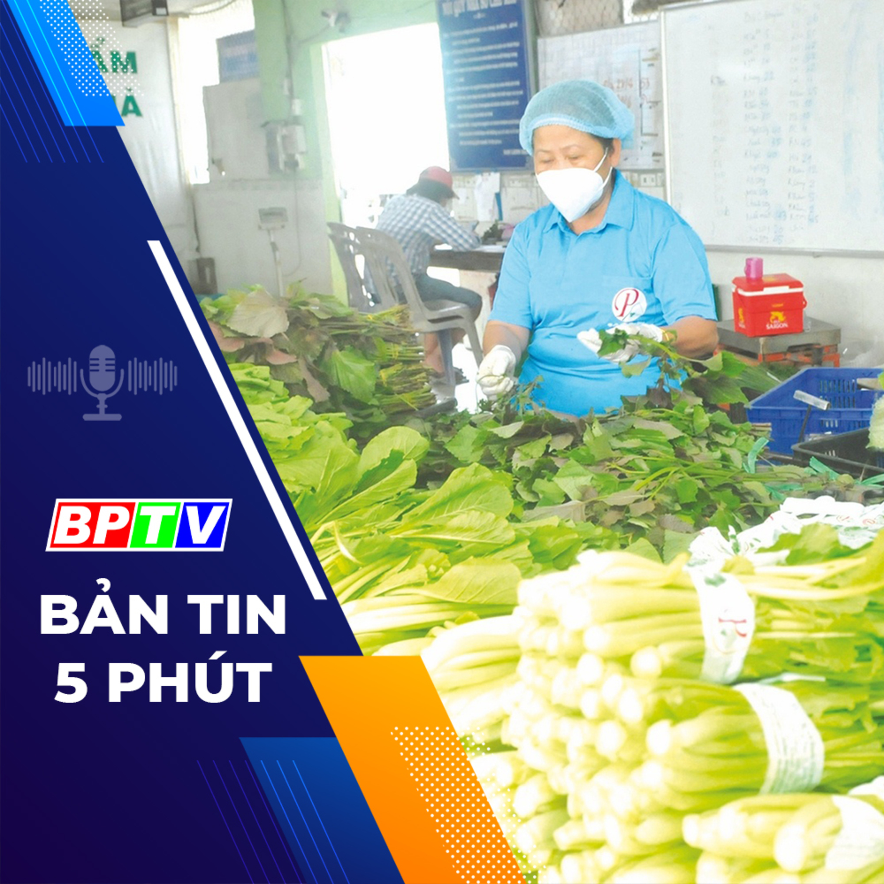 5 phút tối nay 11-1-2024 episode artwork