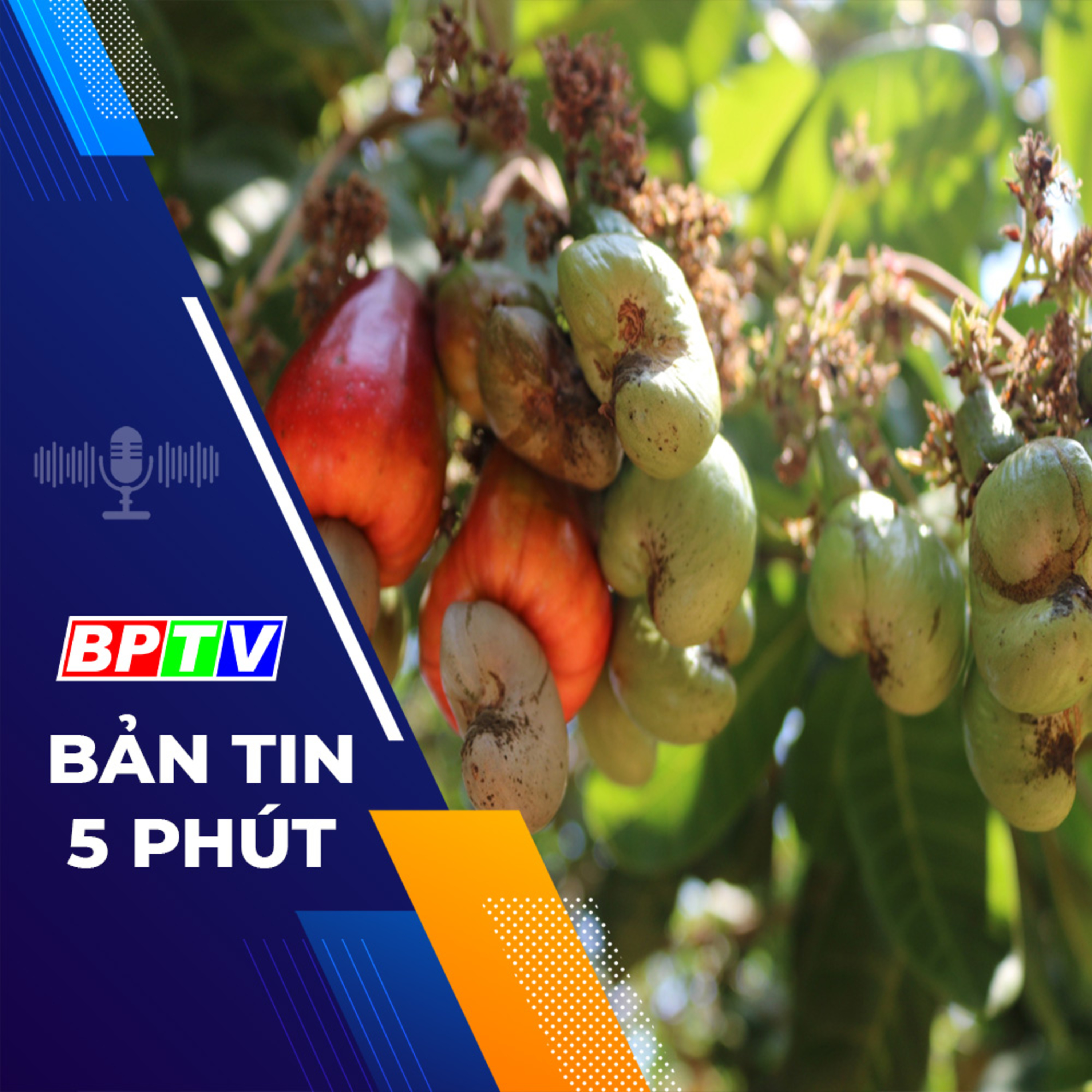 5 phút tối nay 22-1-2024  episode artwork