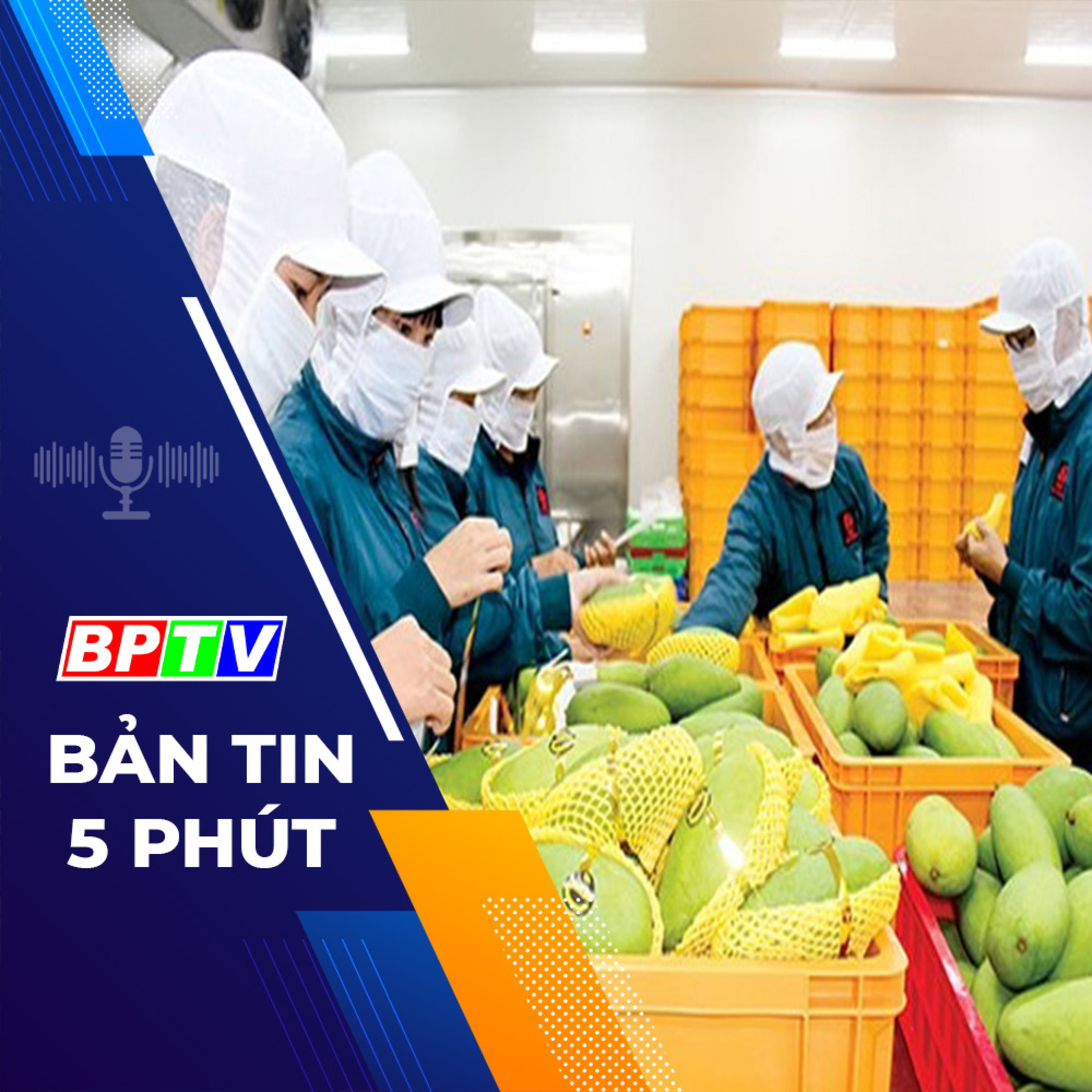 5 phút trưa nay 26-1-2024 episode artwork