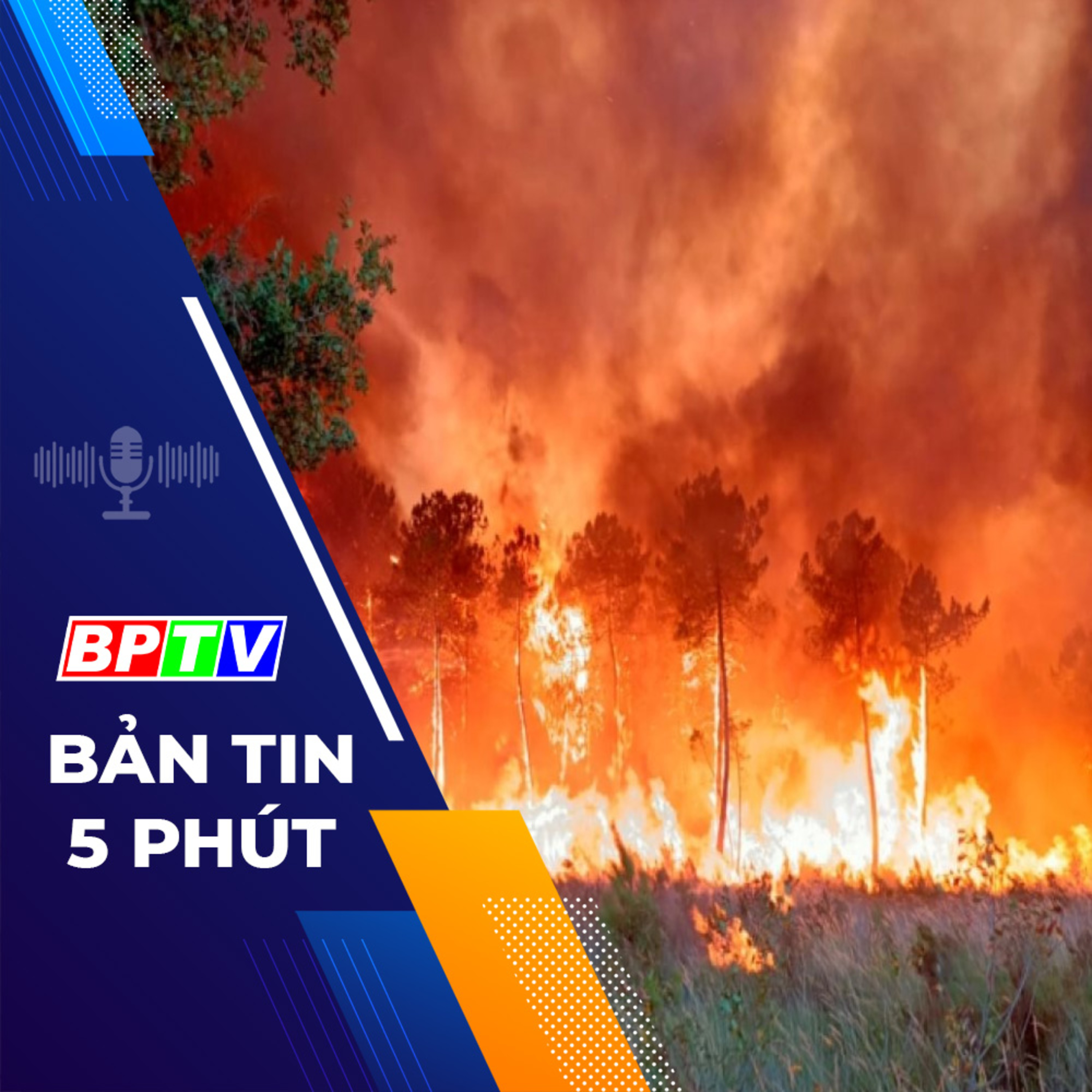 5 phút tối nay 28-1-2024  episode artwork