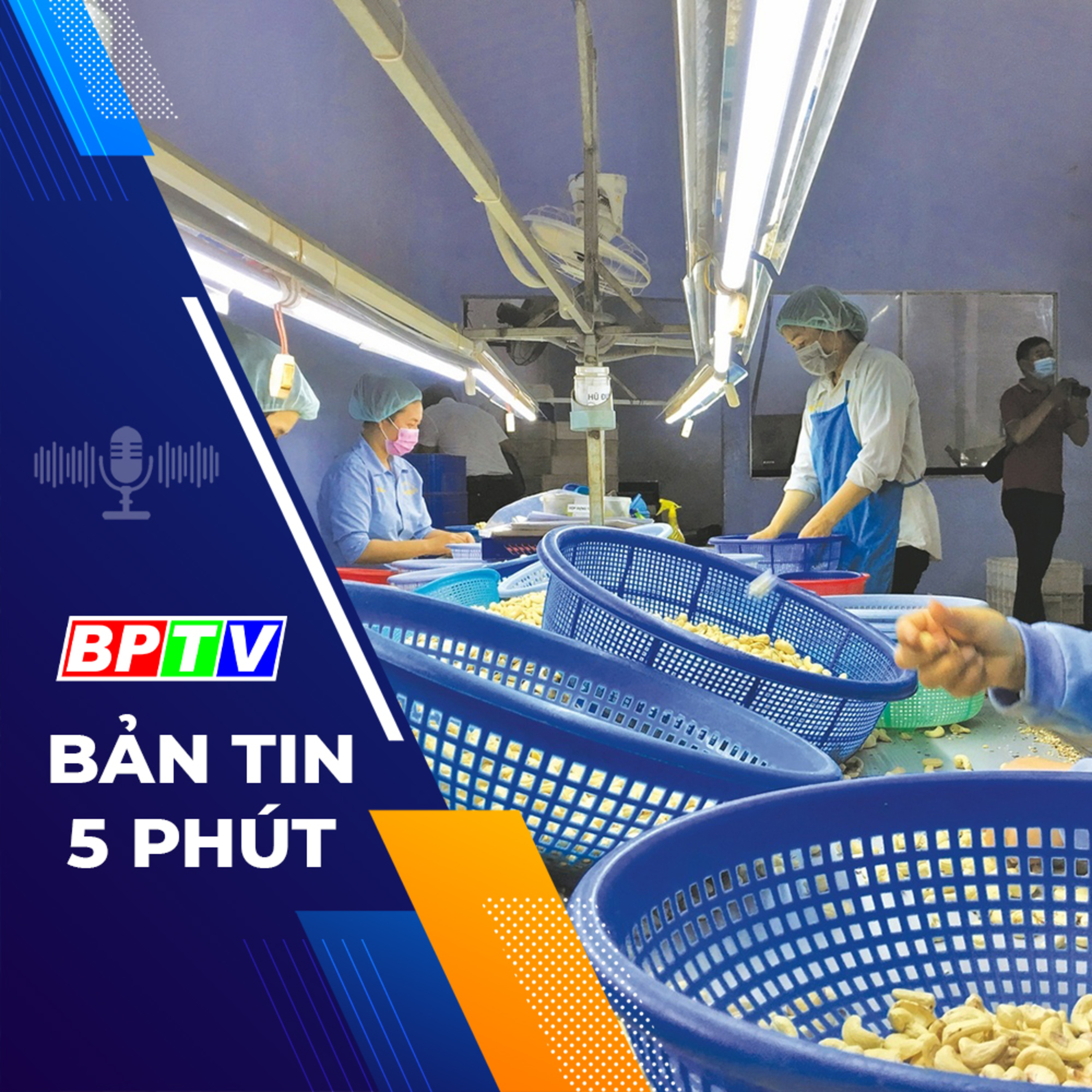 5 phút sáng nay 31-1-2024  episode artwork