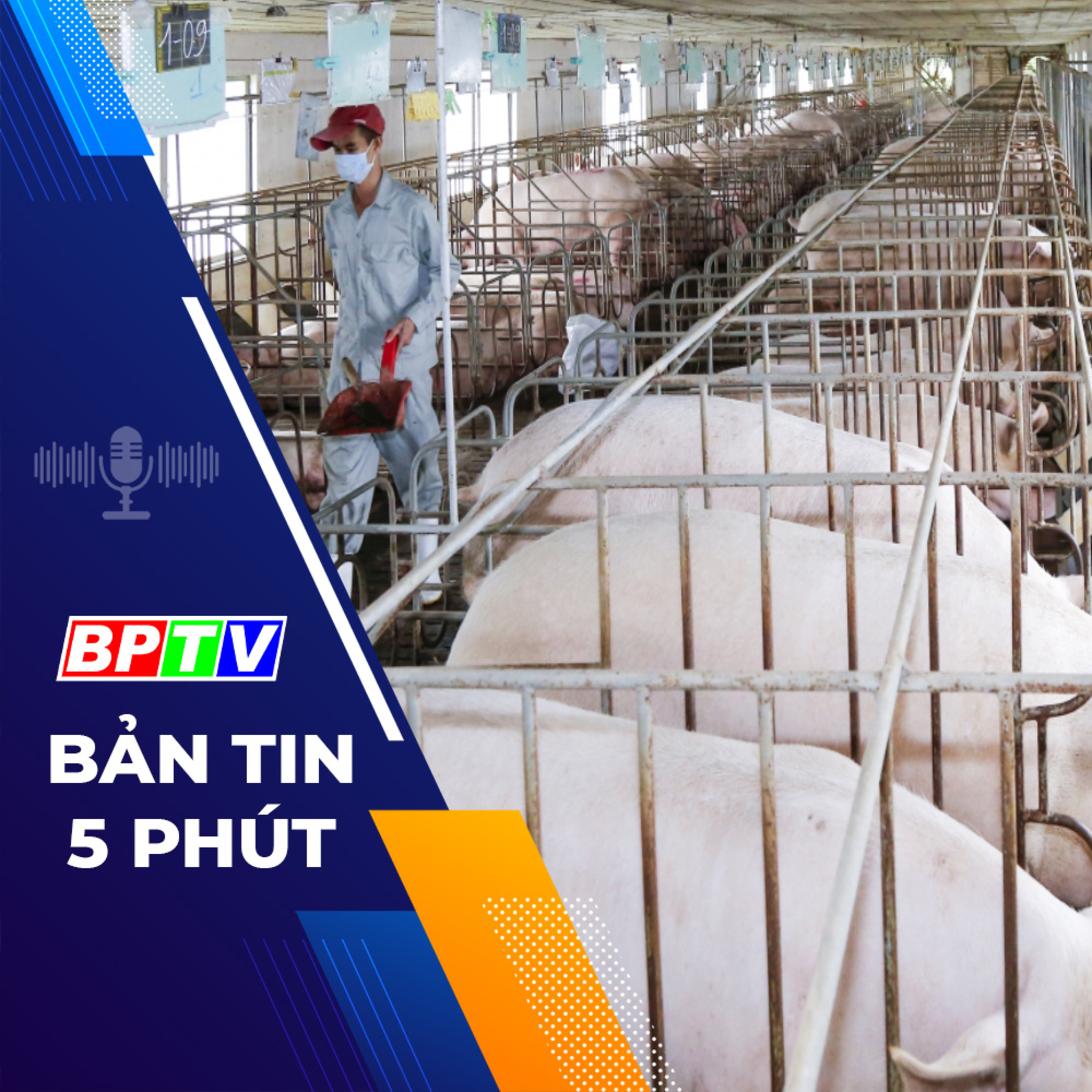 5 phút trưa nay 1-2-2024 episode artwork
