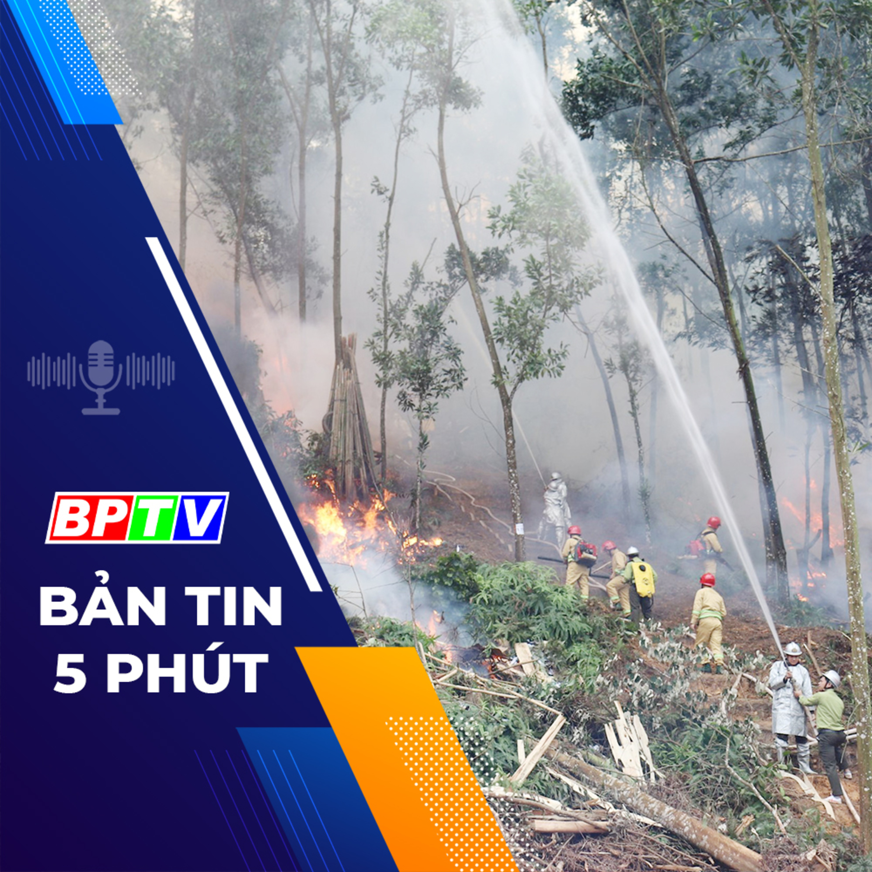 5 phút tối nay 12-2-2024 episode artwork