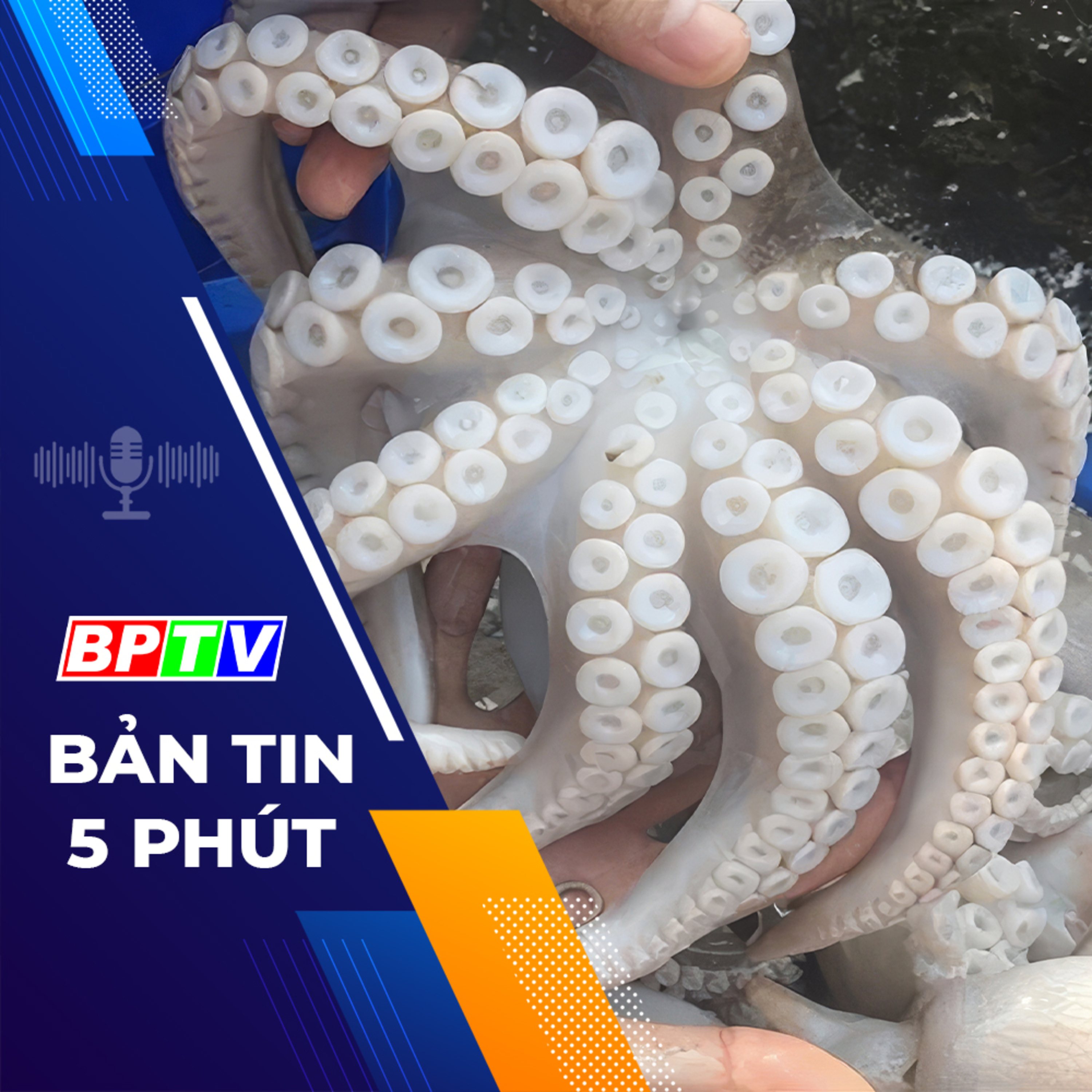 5 phút sáng nay 14-2-2024 episode artwork