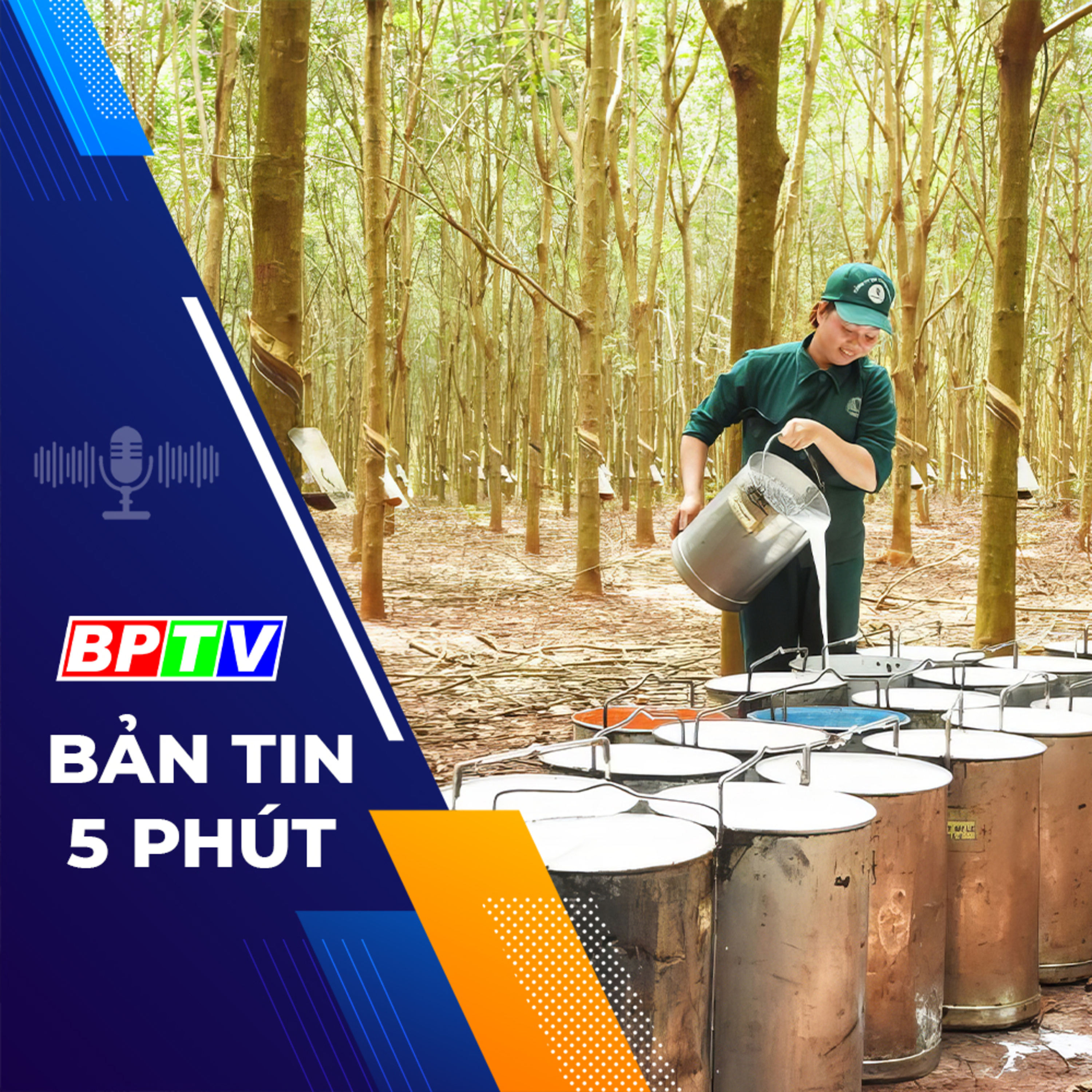 5 phút tối nay 16-2-2024 episode artwork