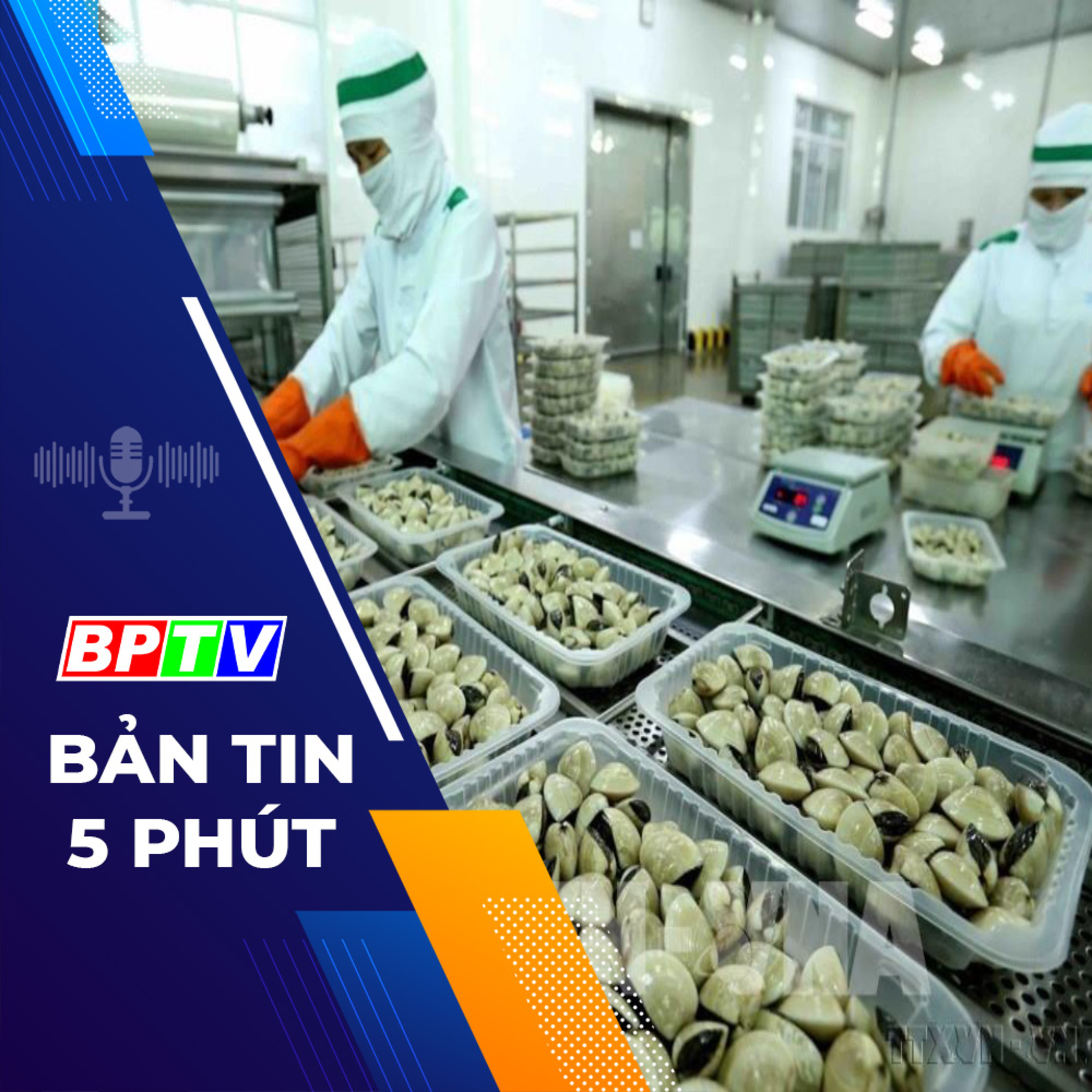 5 phút sáng nay 13-2-2024 episode artwork