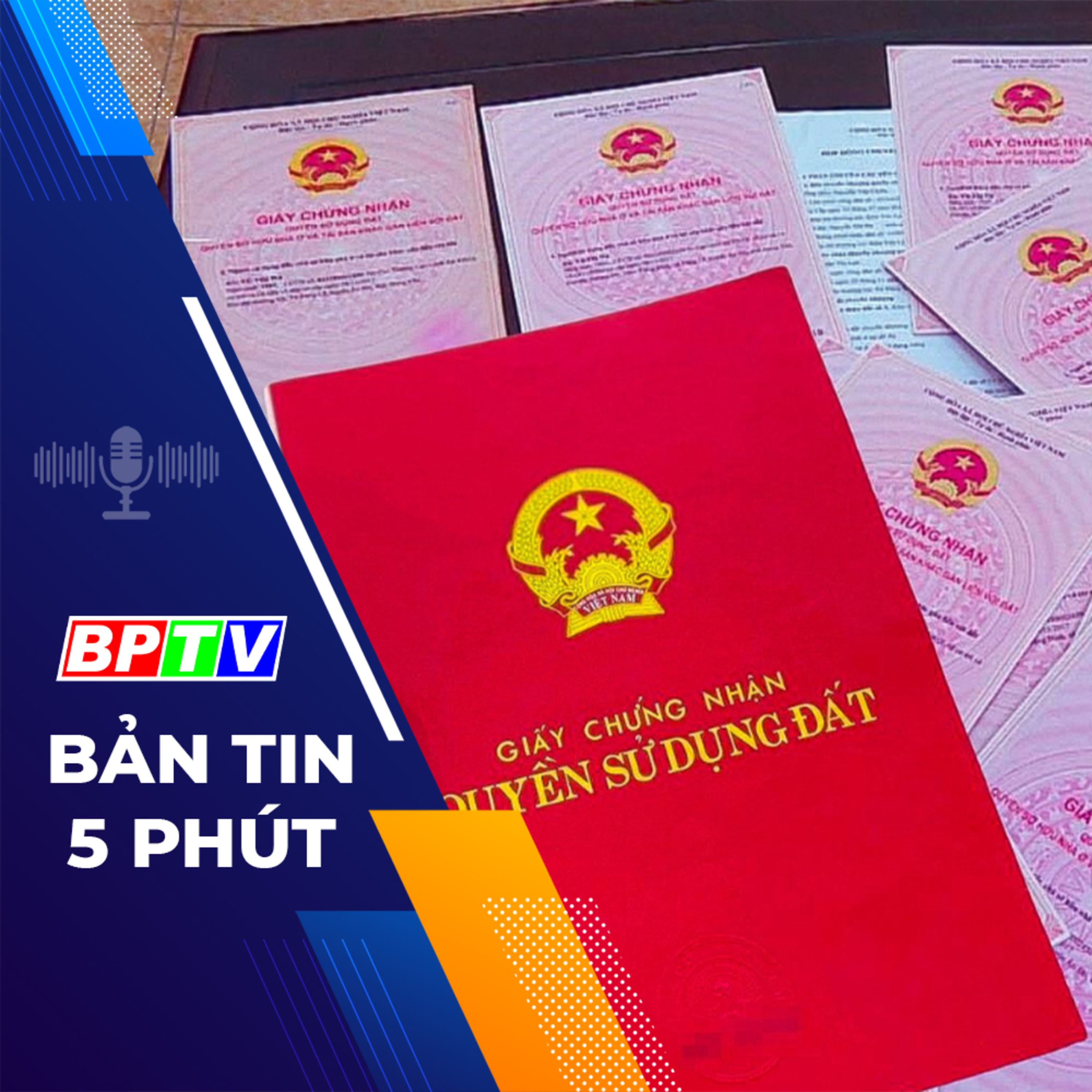5 phút trưa nay 20-2-2024 episode artwork